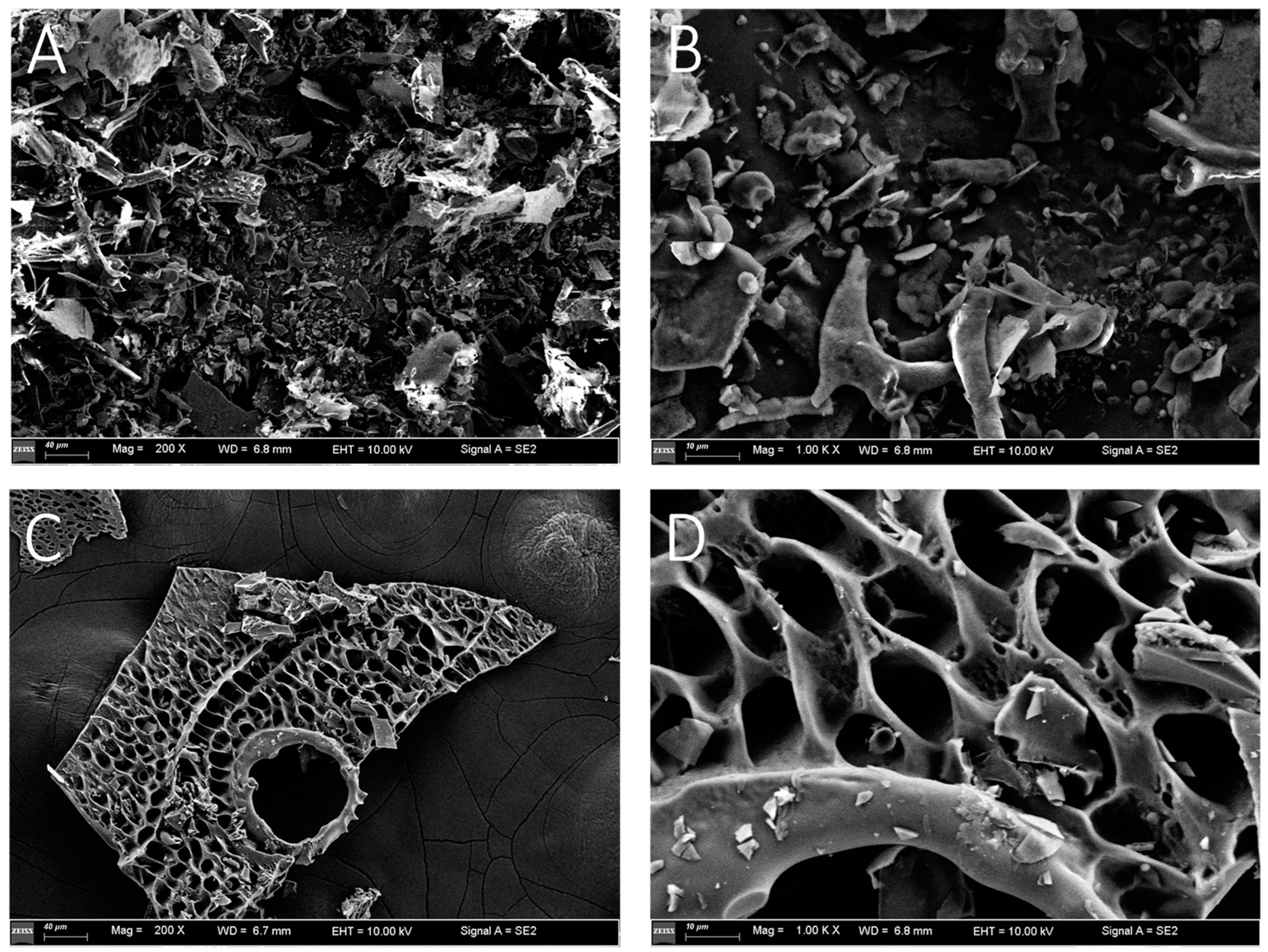 Molecules 29 02043 g005