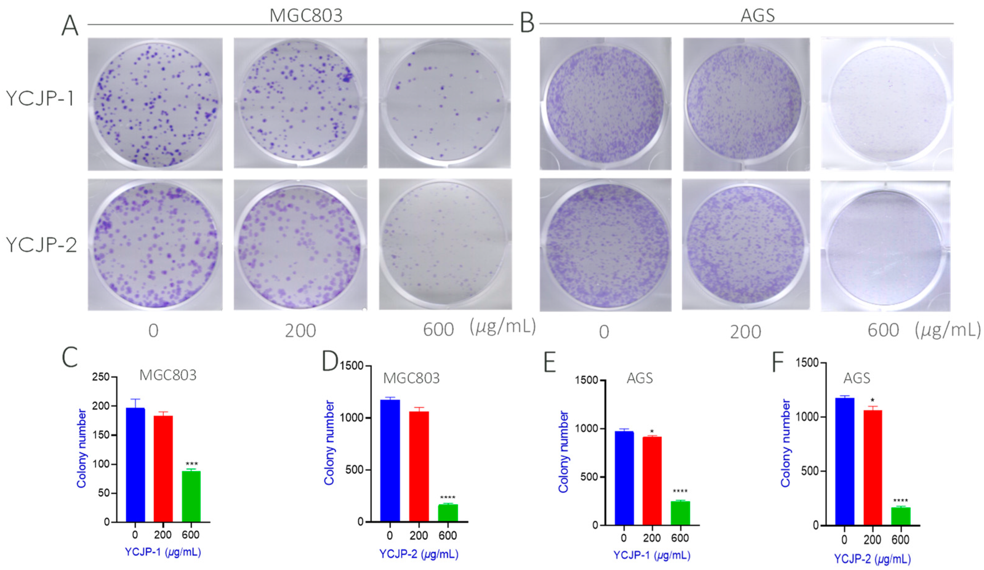 Molecules 29 02043 g007