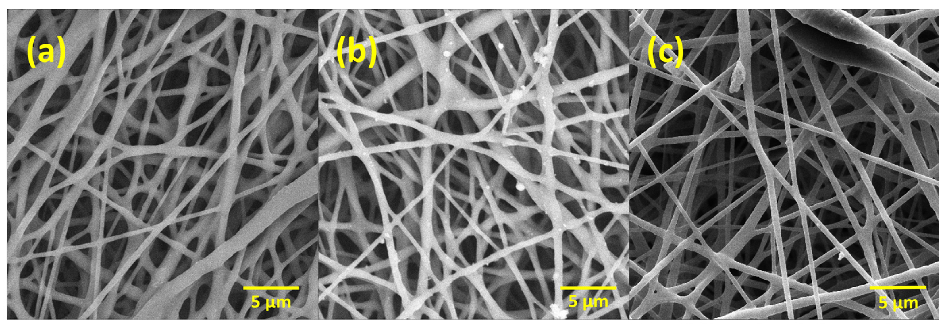 Molecules 29 02049 g001