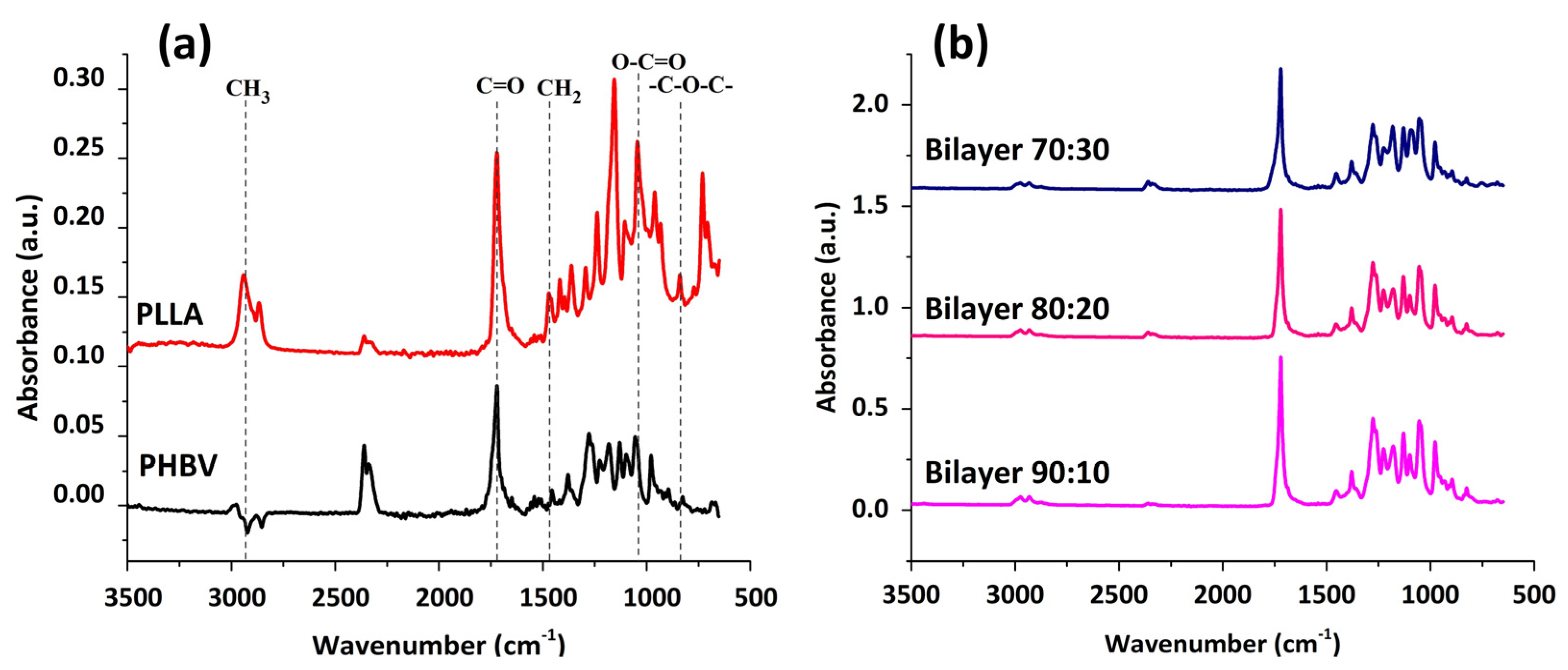 Molecules 29 02049 g004