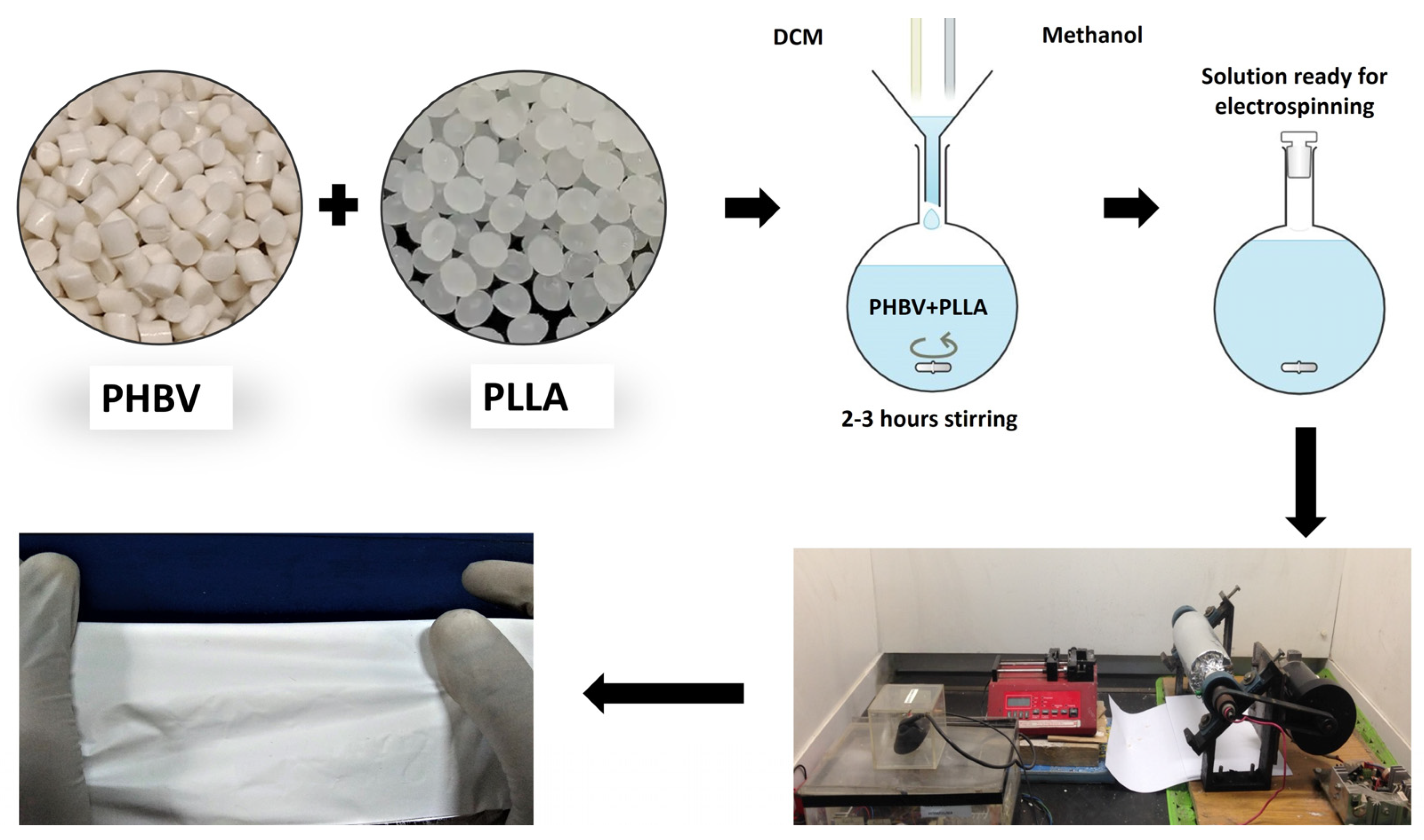 Molecules 29 02049 g009