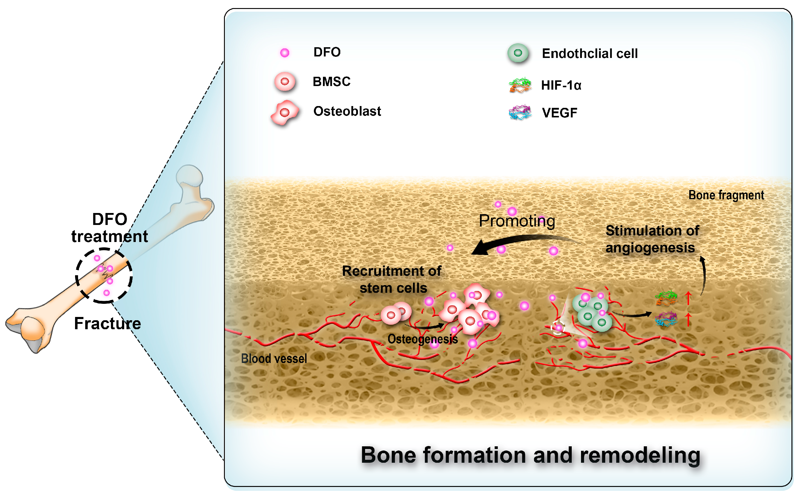 Molecules 29 02050 g003