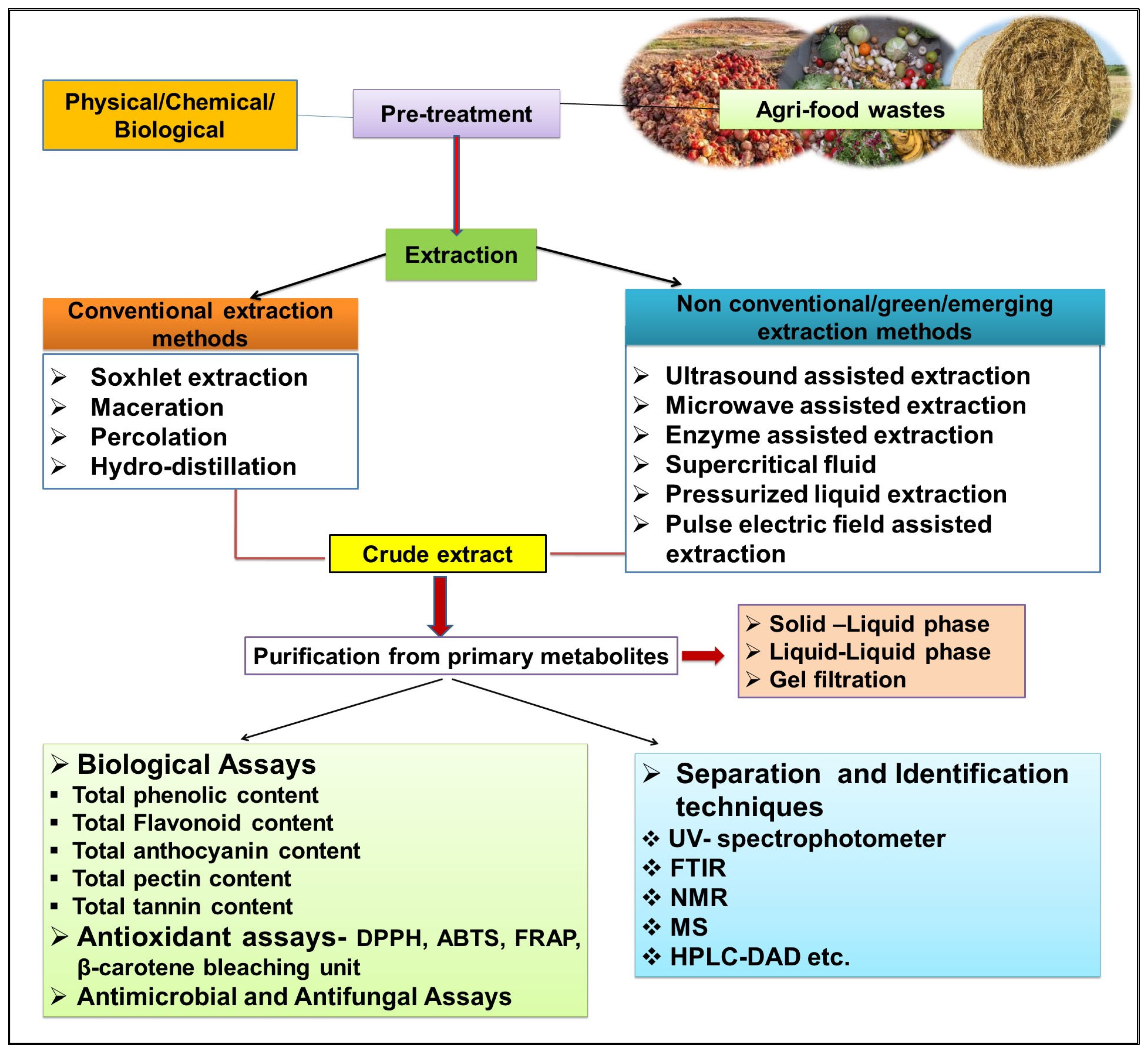 Molecules 29 02055 g003