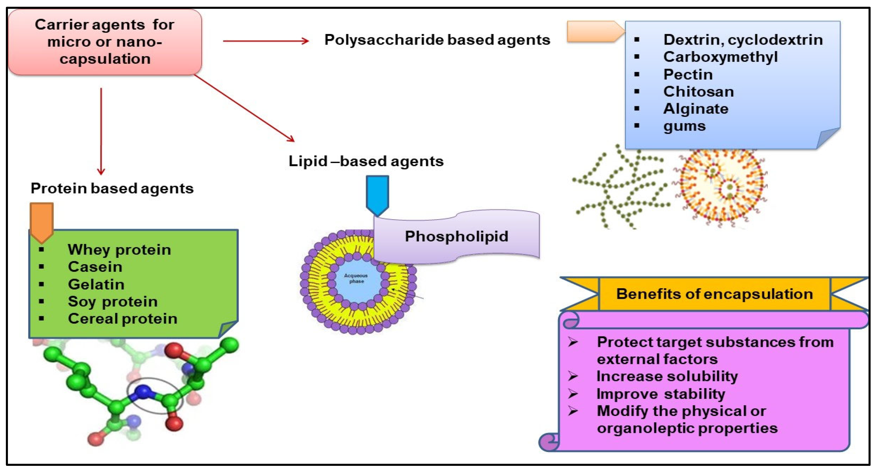 Molecules 29 02055 g007