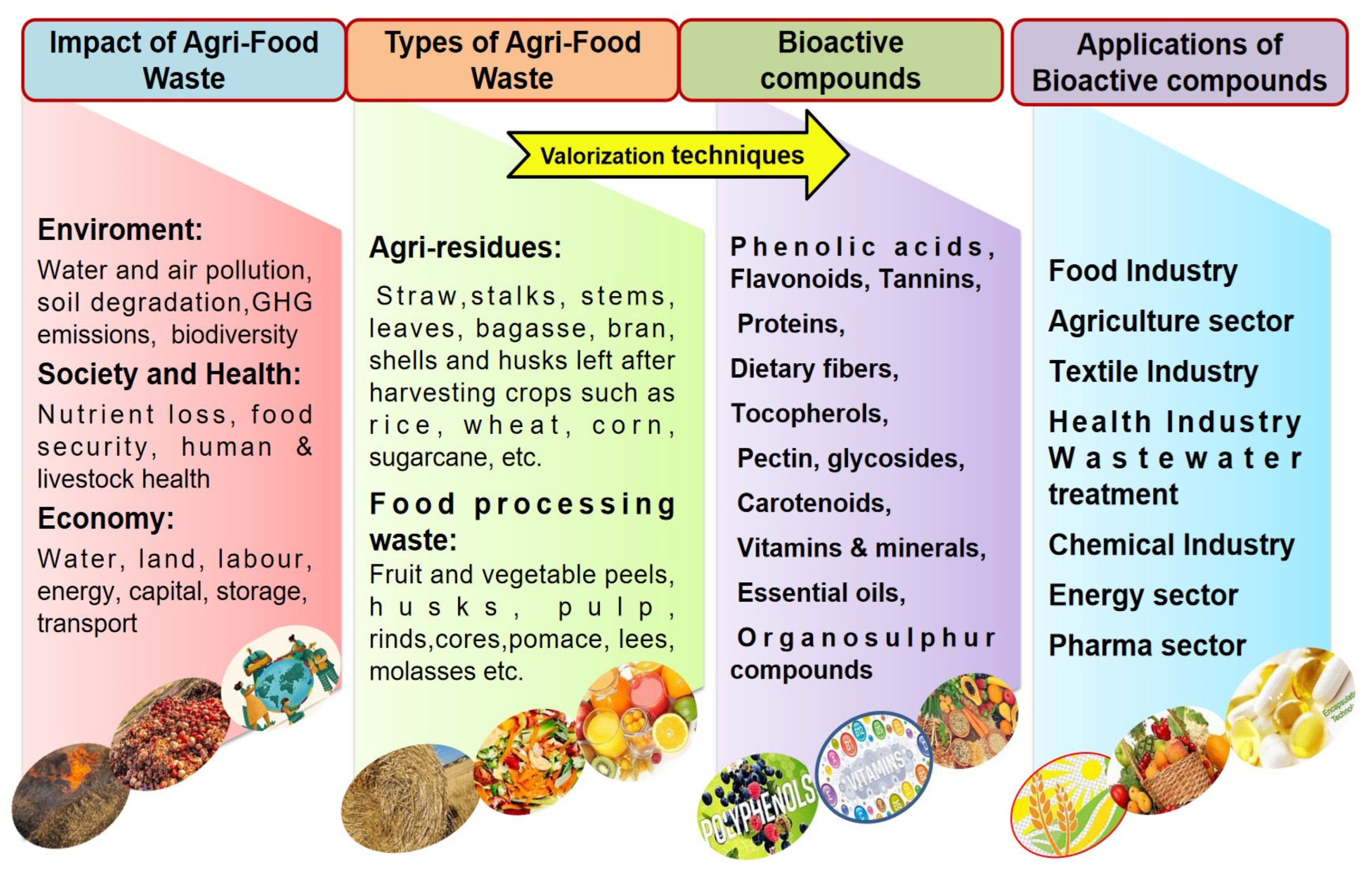 Molecules 29 02055 g008