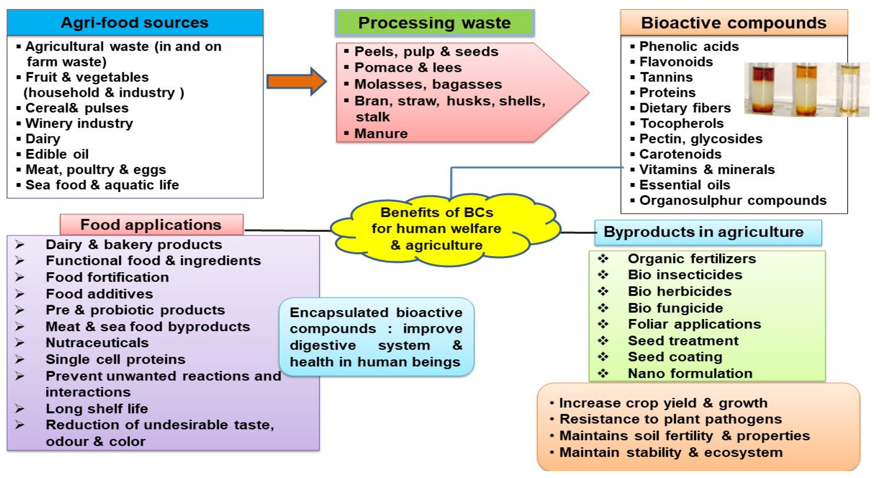 Molecules 29 02055 g009