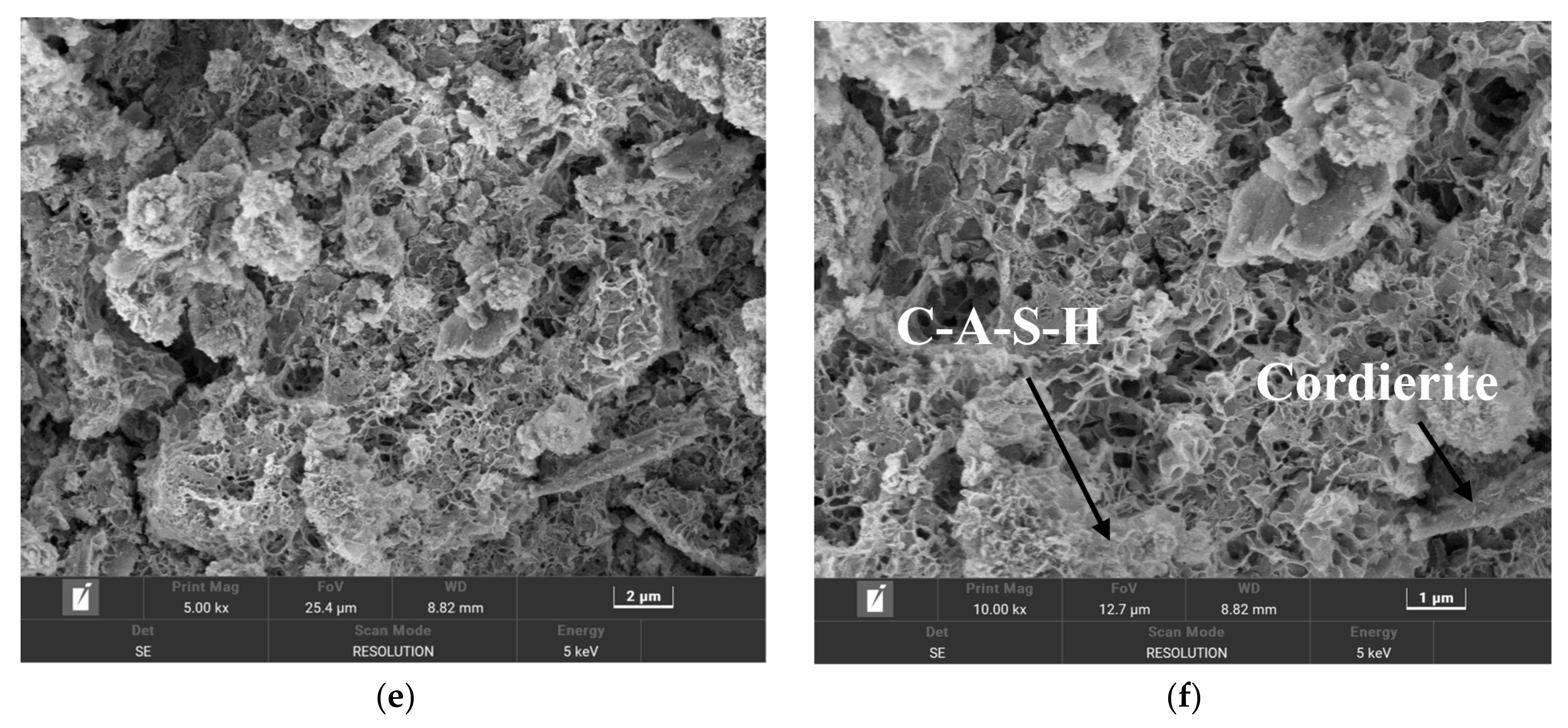 Molecules 29 02056 g009b