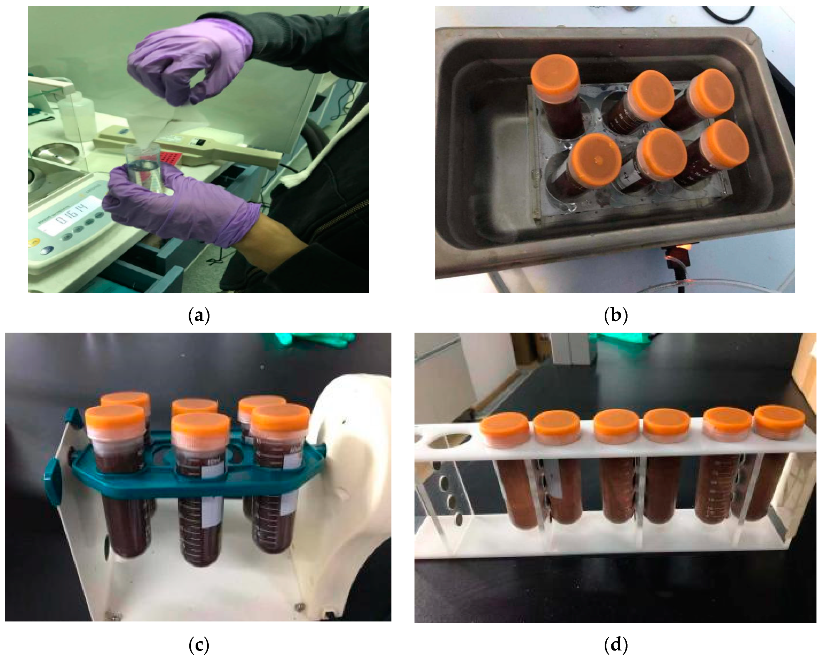 Molecules 29 02060 g007