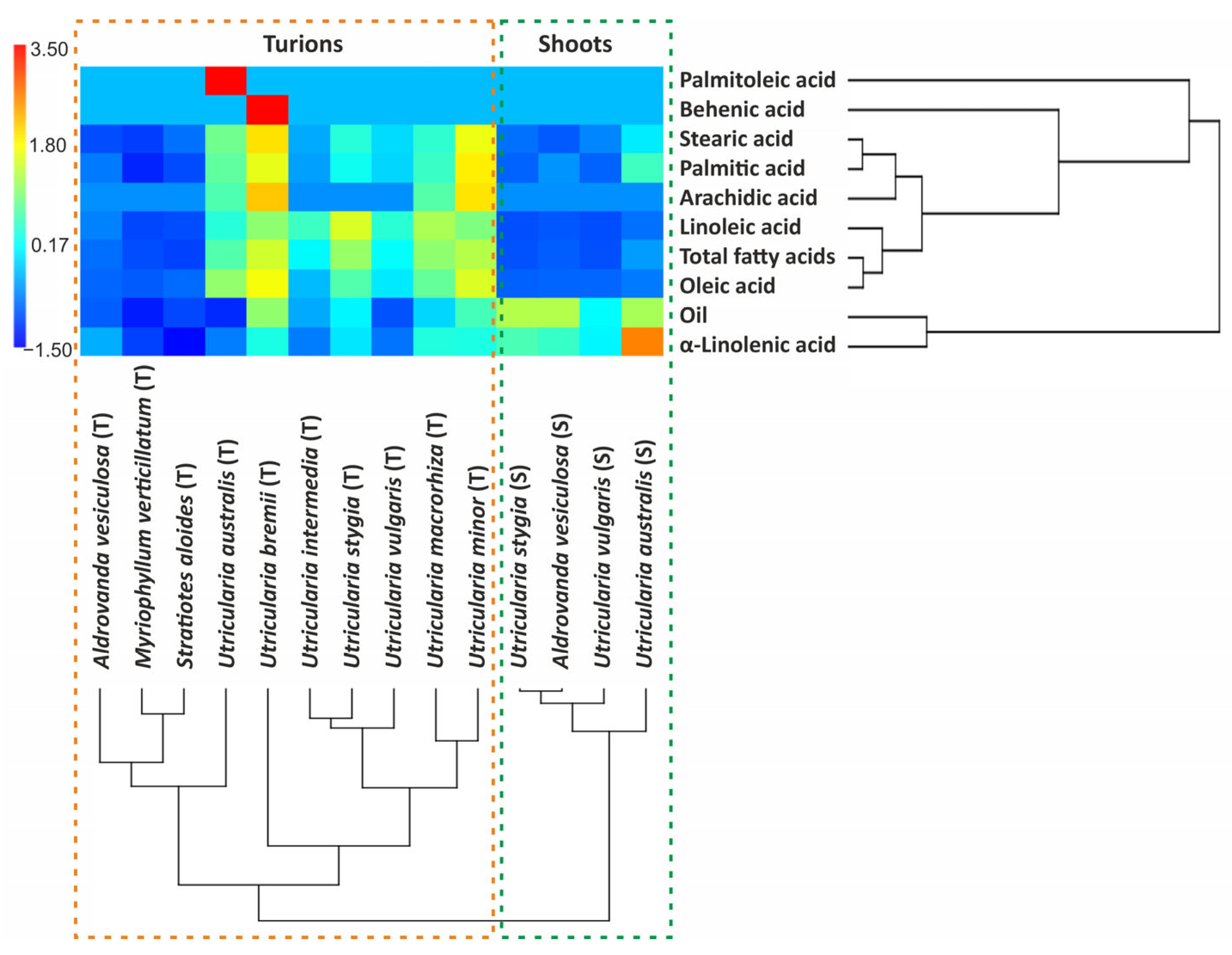 Molecules 29 02062 g001