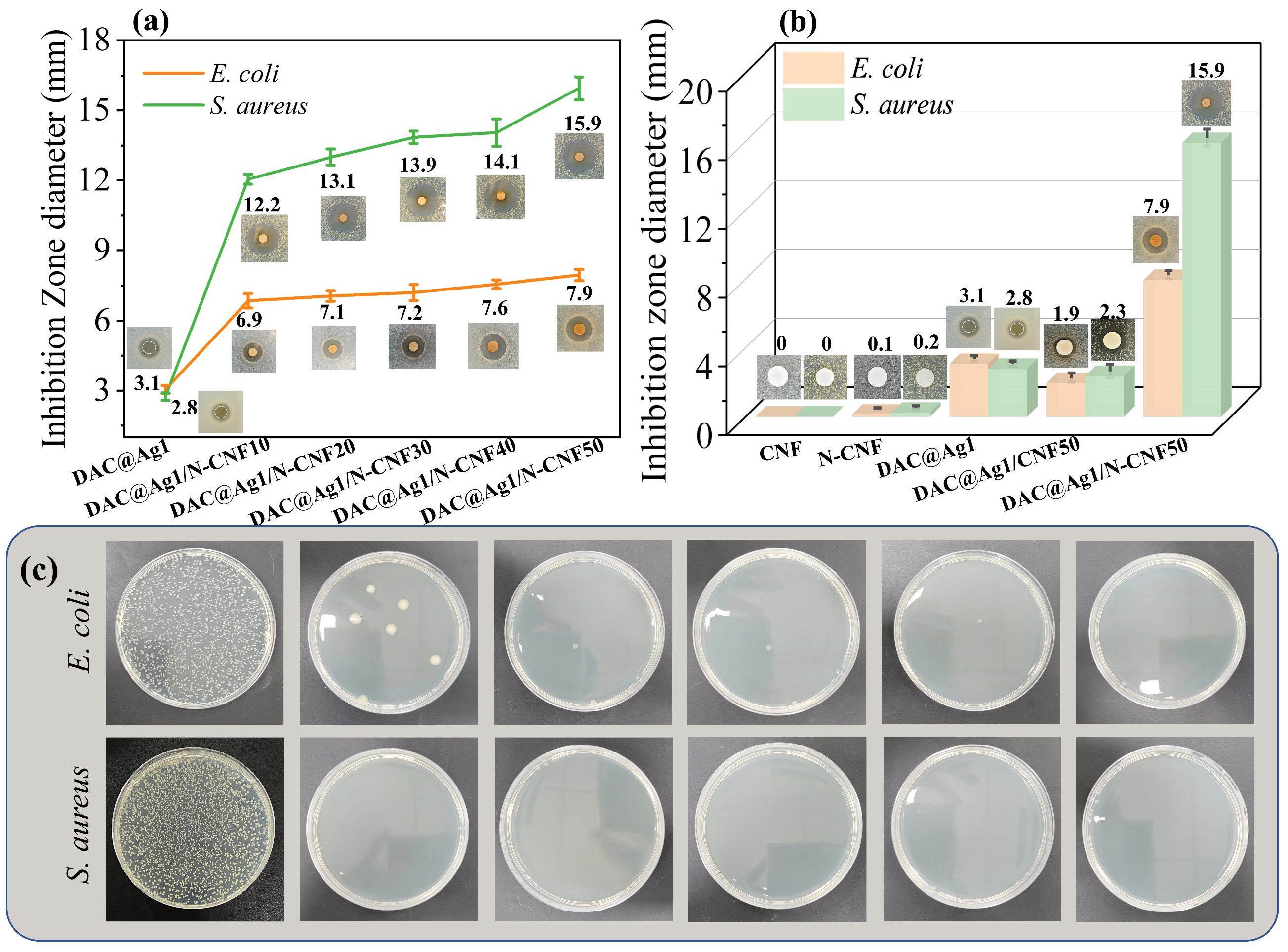 Molecules 29 02065 g007