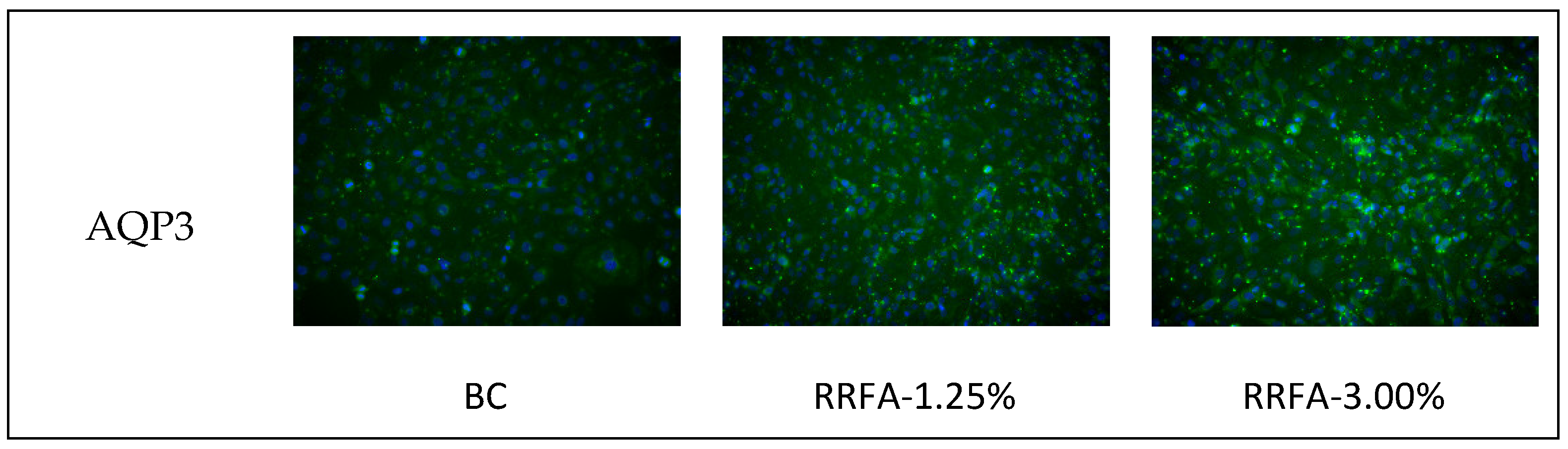 Molecules 29 02066 g004a