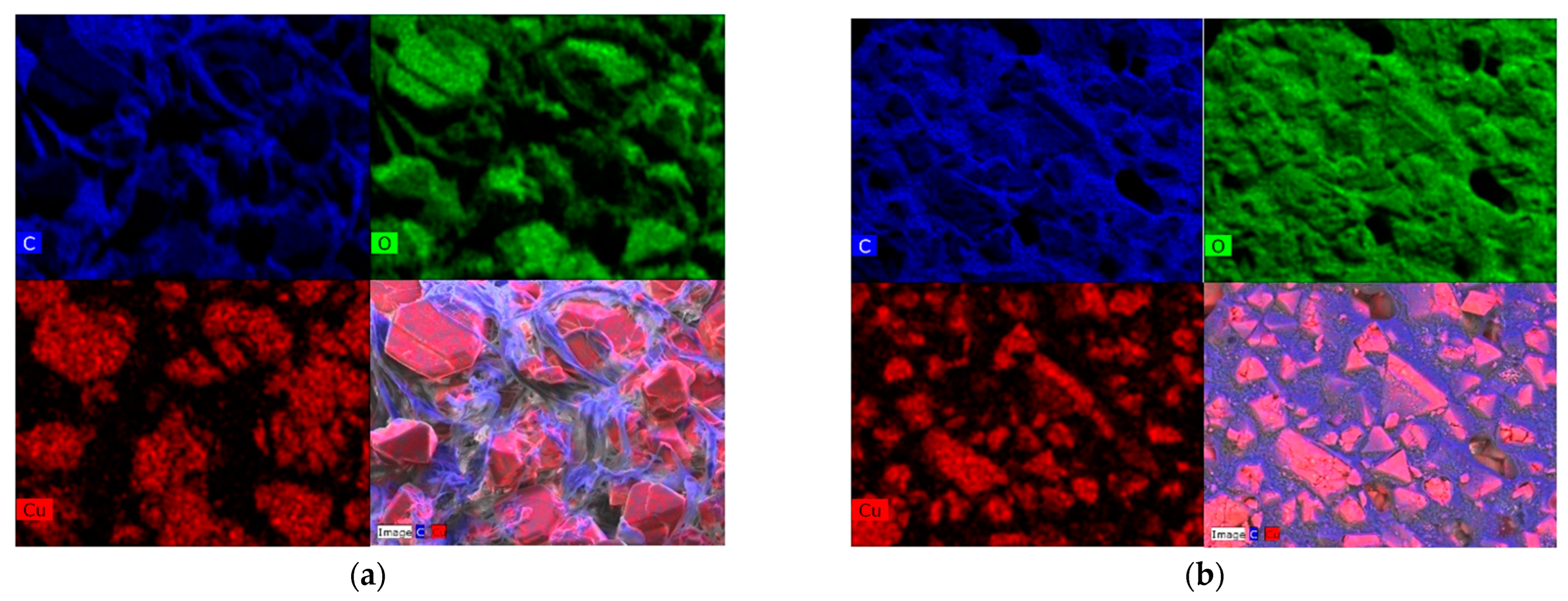 Molecules 29 02069 g006