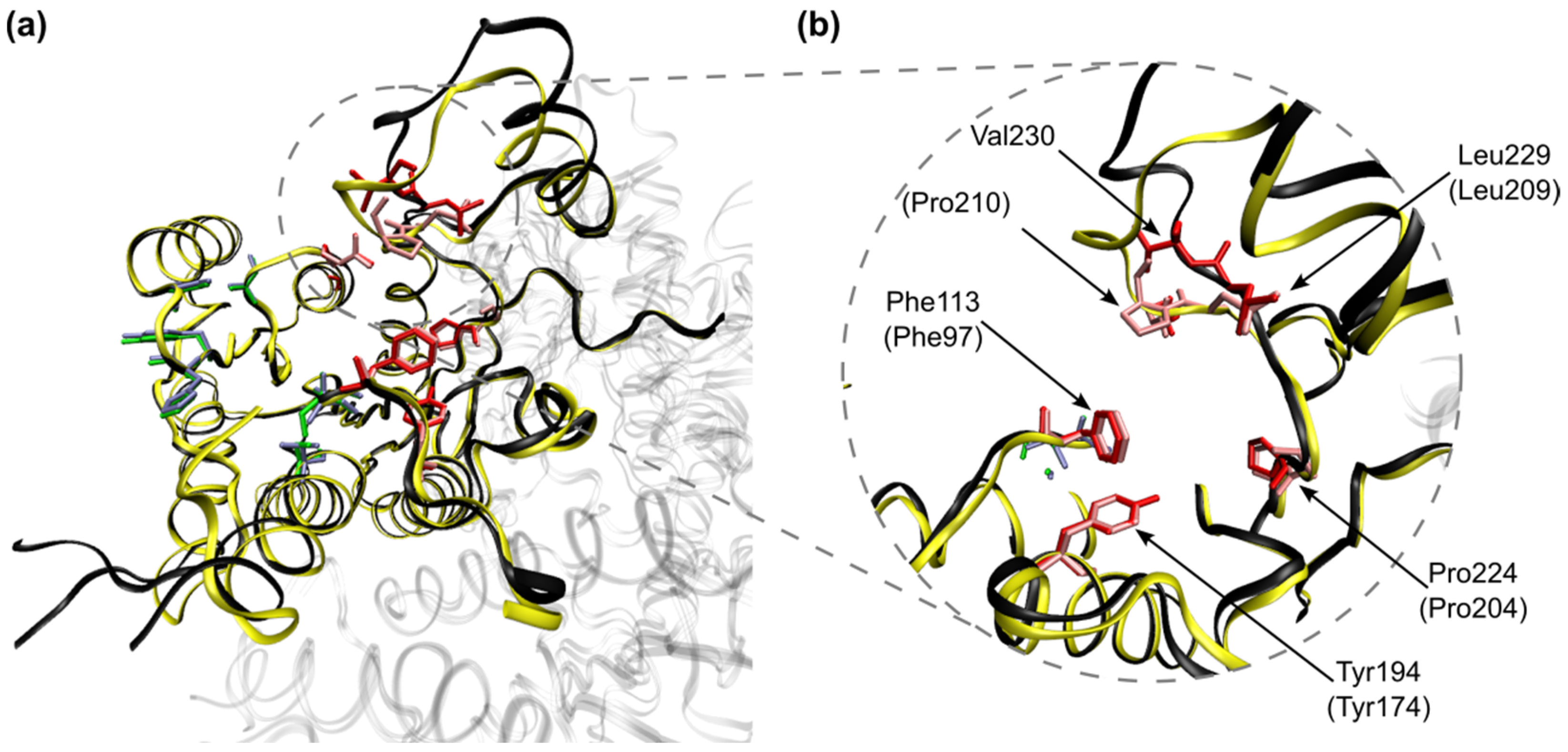 Molecules 29 02072 g005