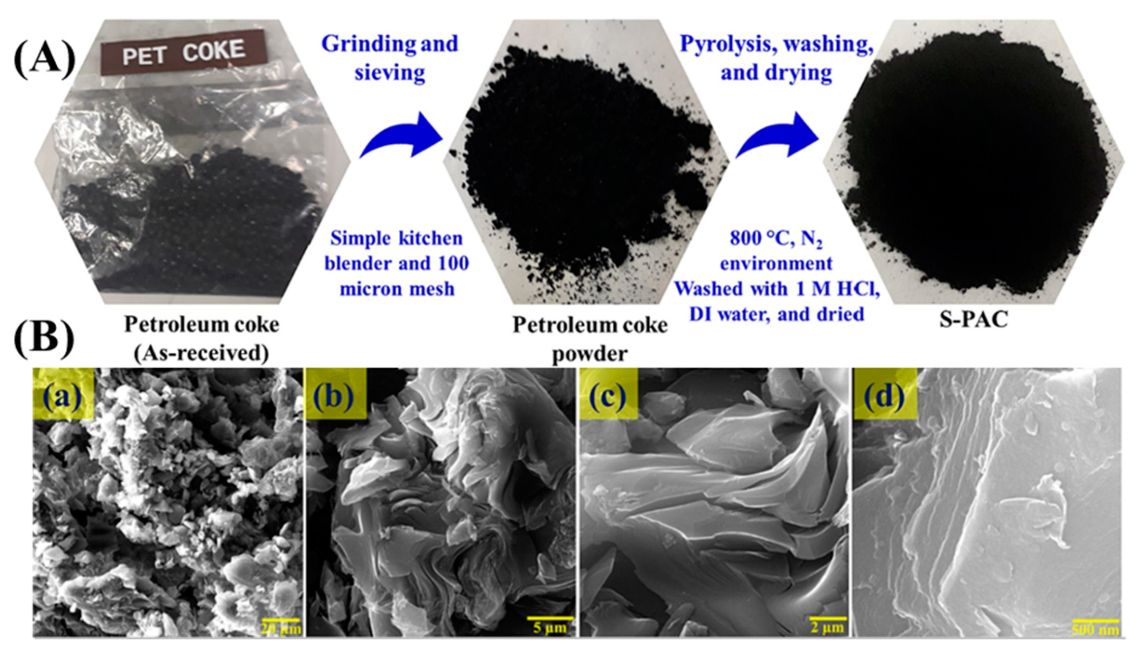 Molecules 29 02081 g004