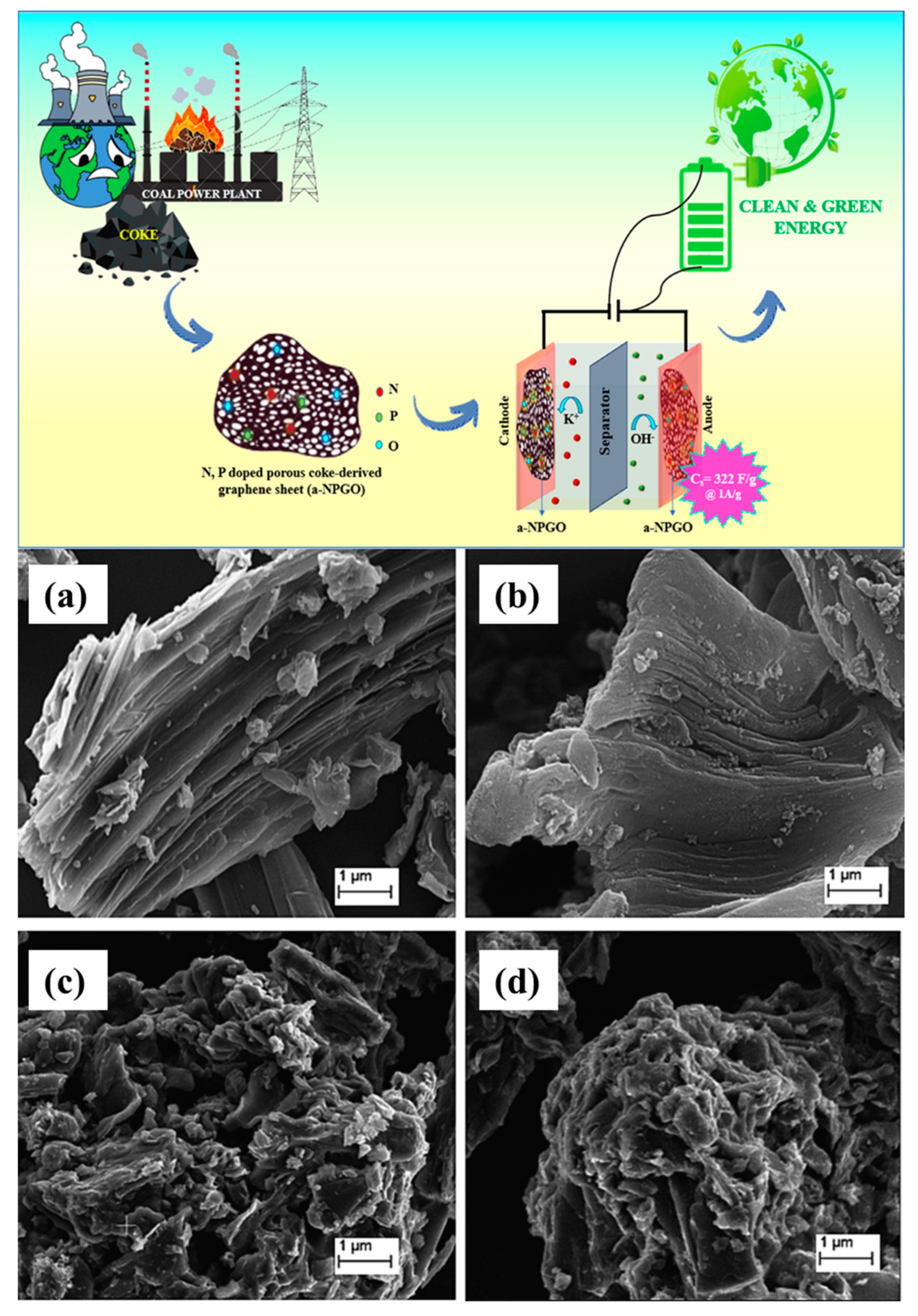 Molecules 29 02081 g009