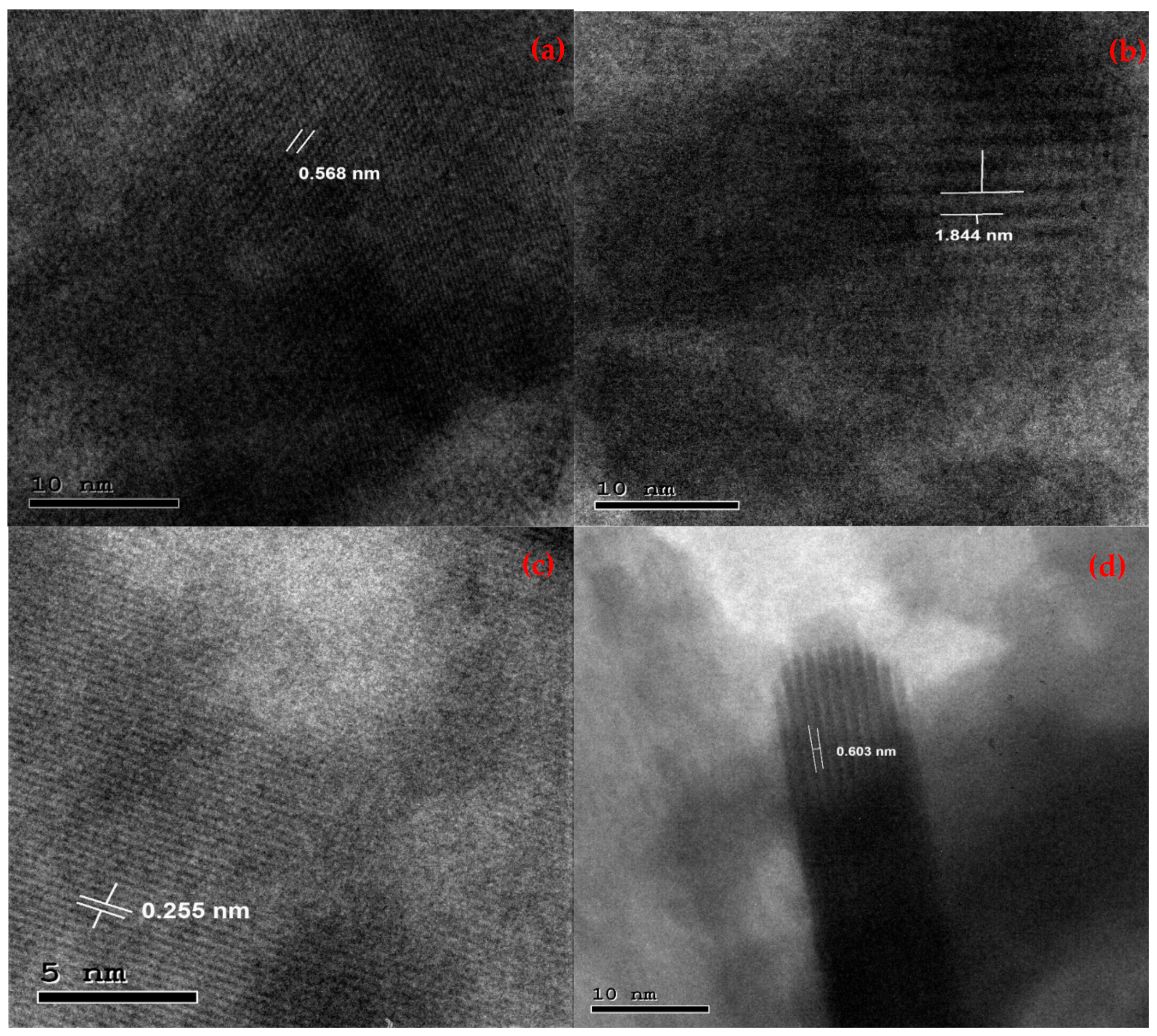 Molecules 29 02082 g004