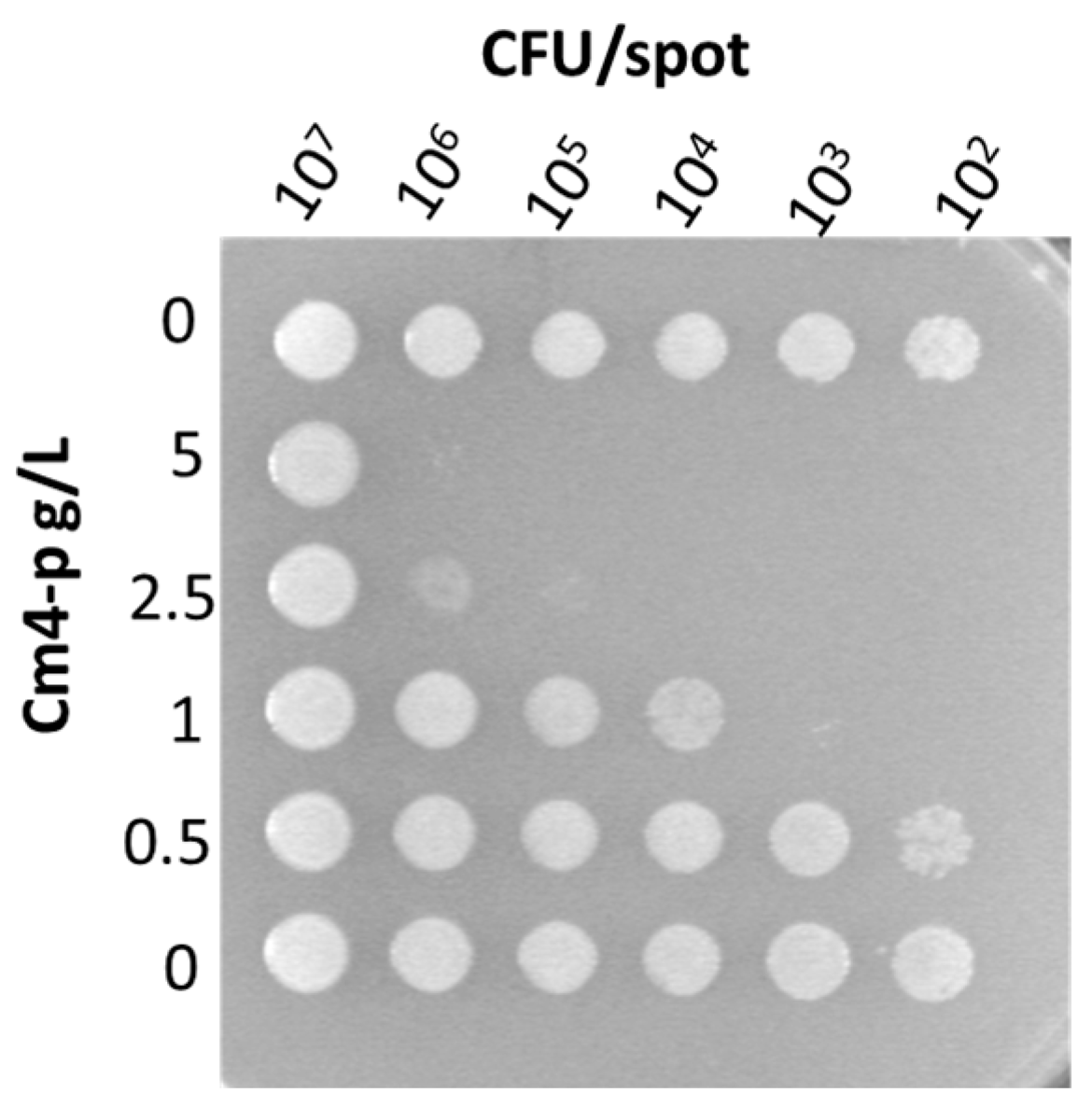 Molecules 29 02091 g005 Molecules 29 02091 g005