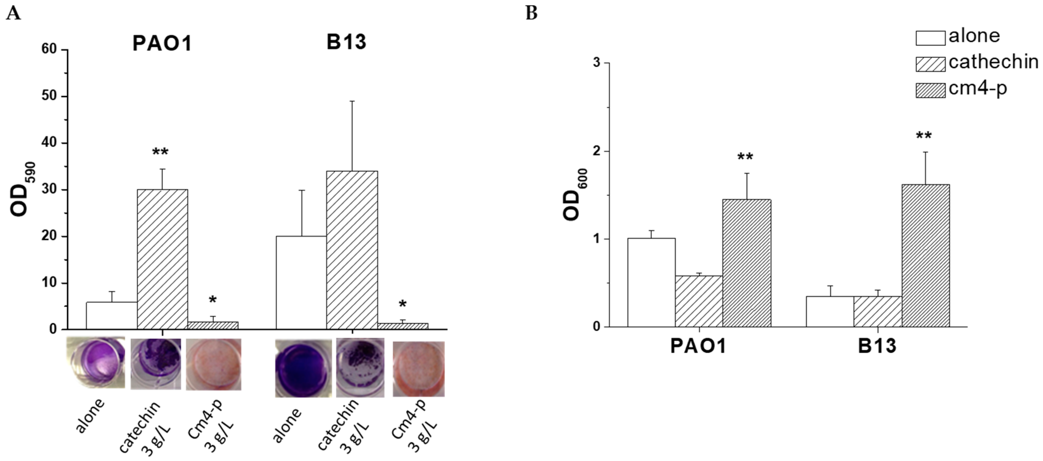 Molecules 29 02091 g006 Molecules 29 02091 g006