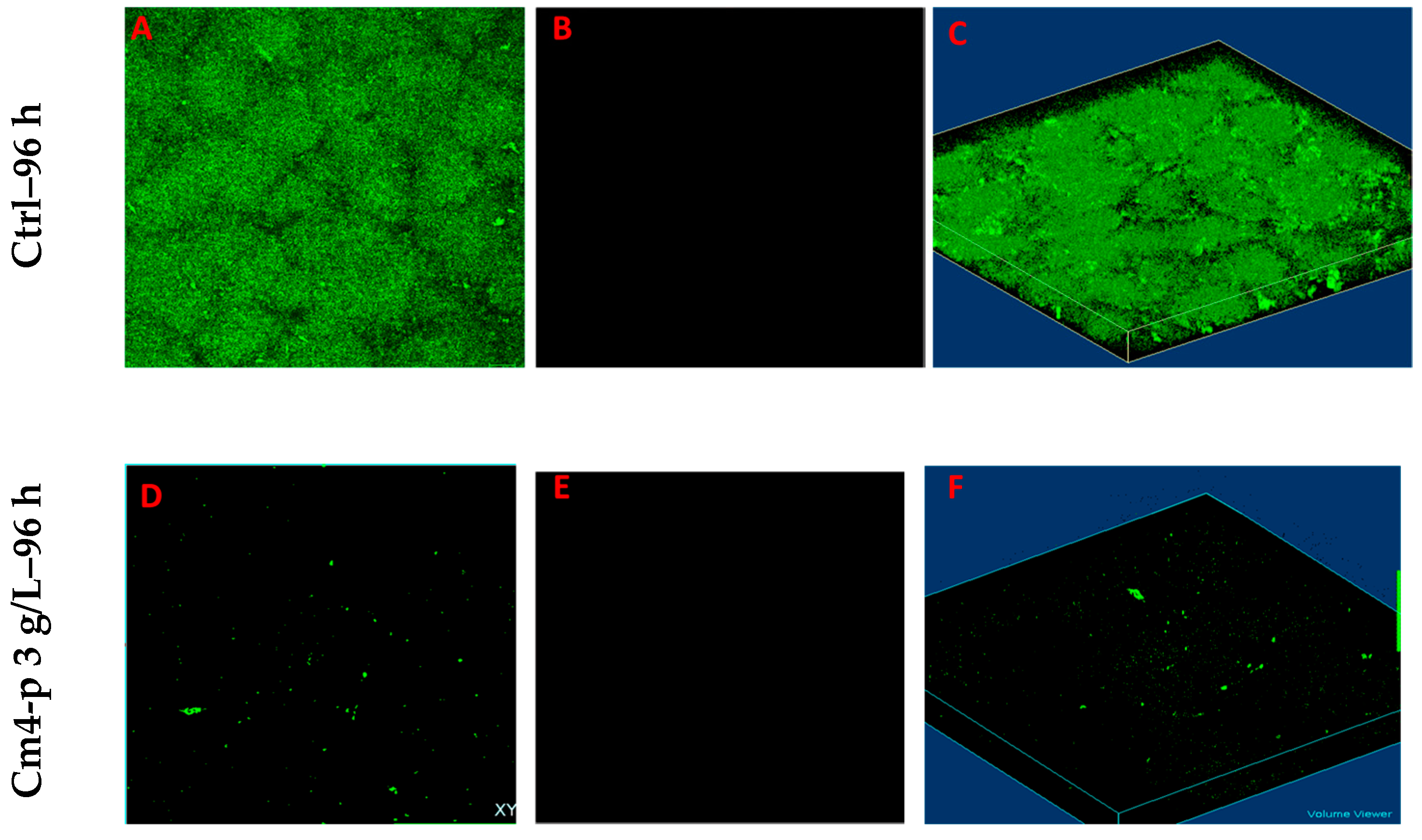 Molecules 29 02091 g009 Molecules 29 02091 g009