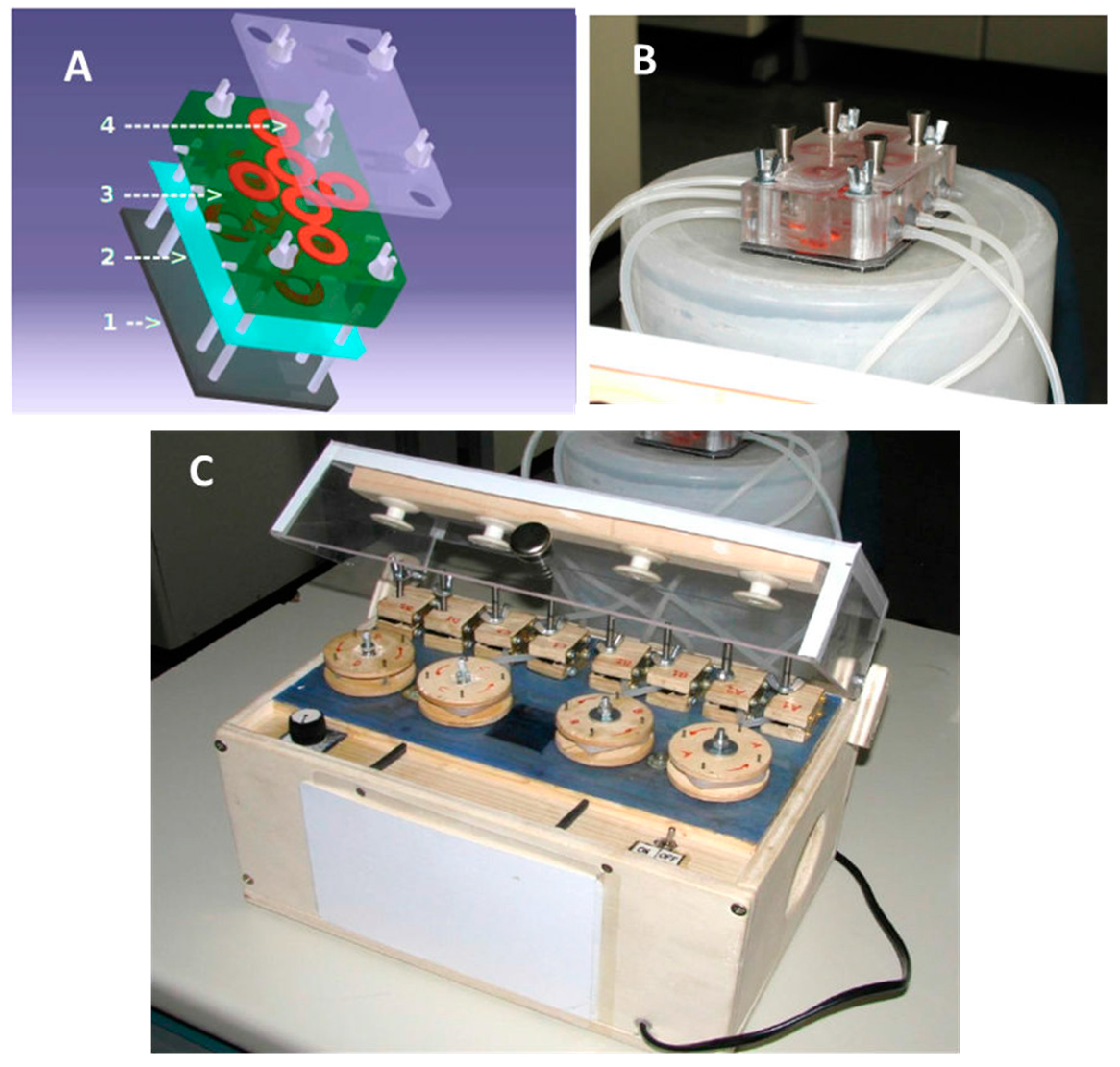 Molecules 29 02091 g010 Molecules 29 02091 g010