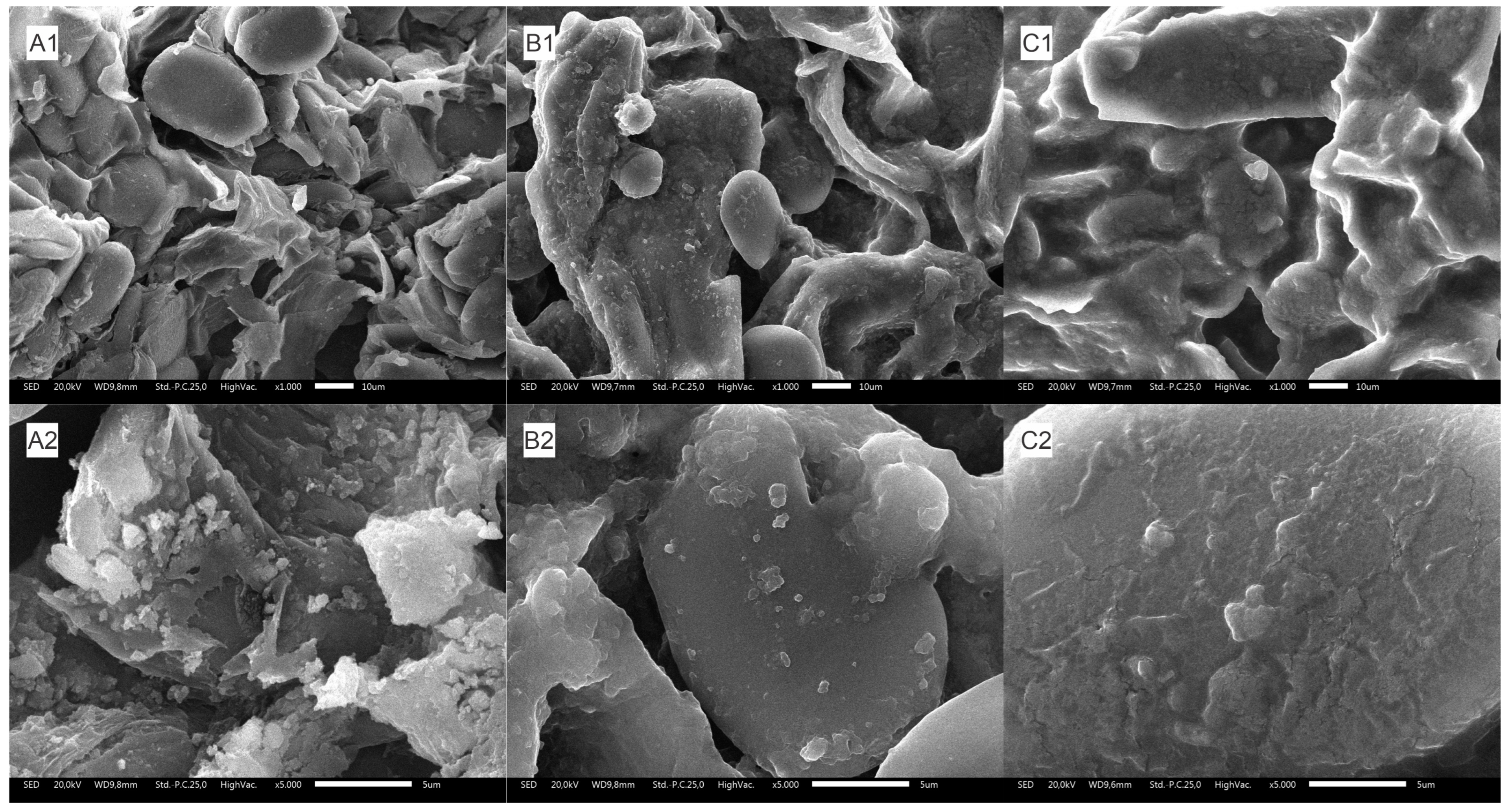 Molecules 29 02093 g005