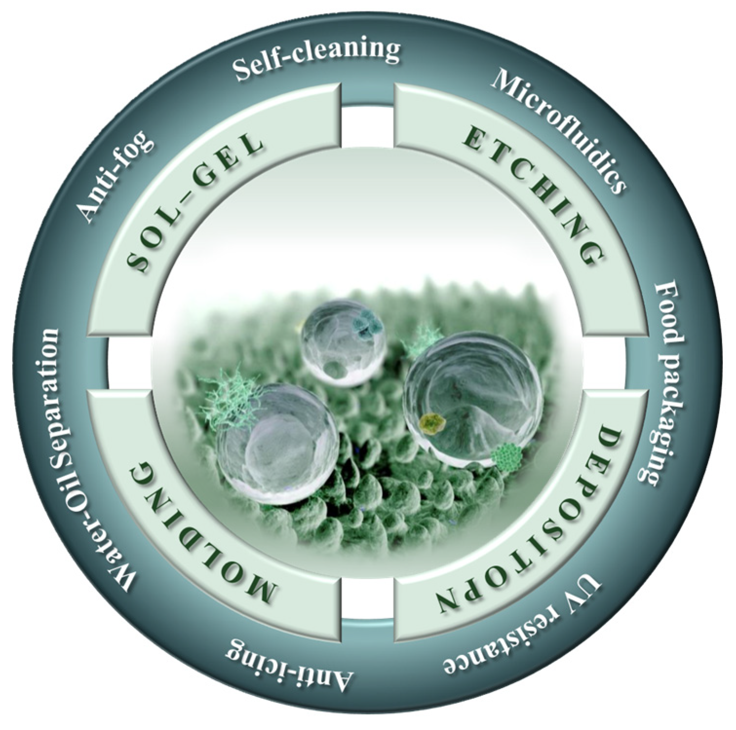 Molecules 29 02098 g002