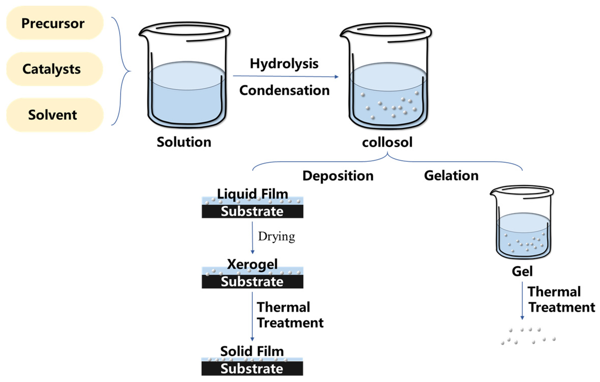 Molecules 29 02098 g003
