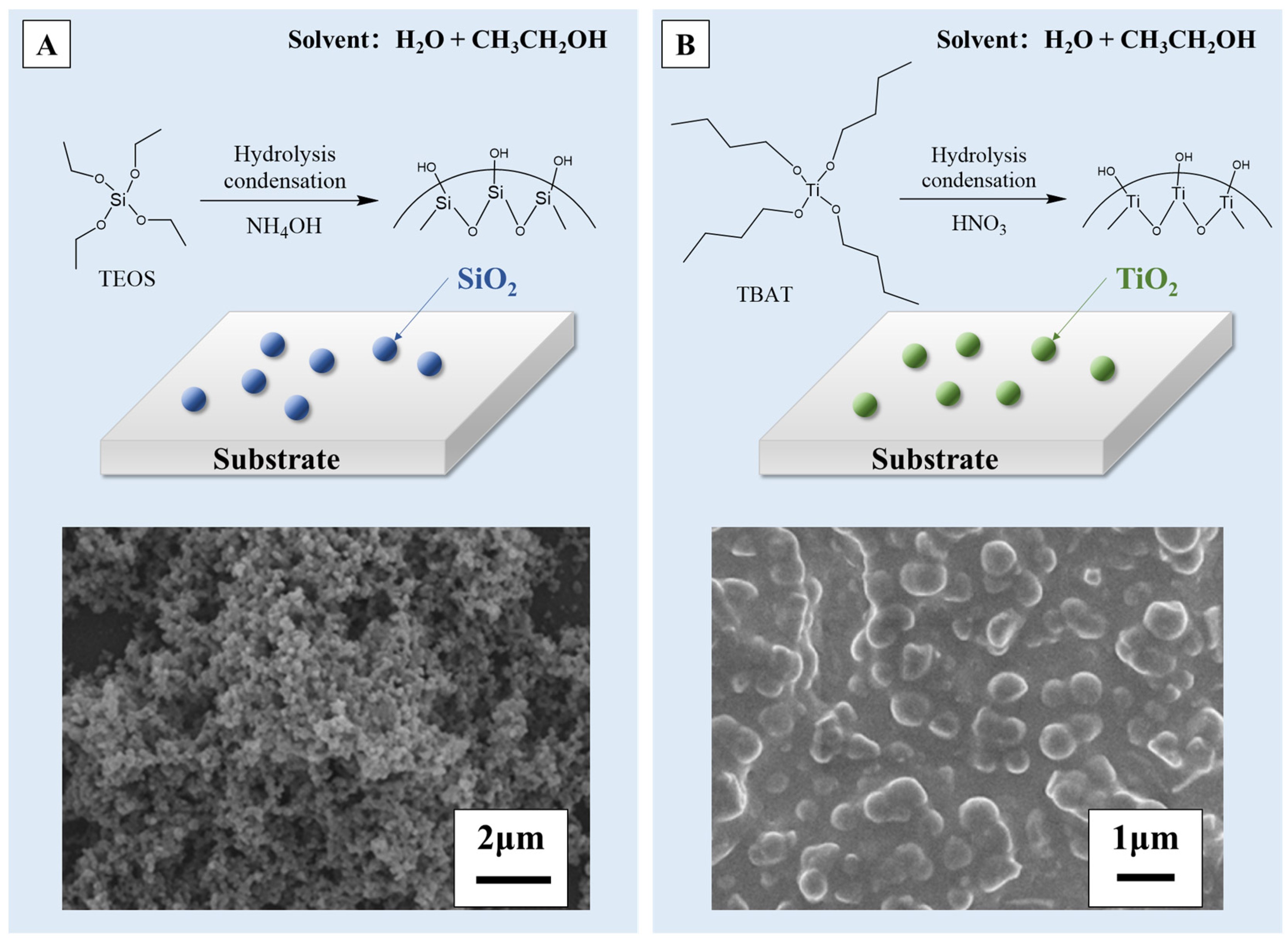 Molecules 29 02098 g004