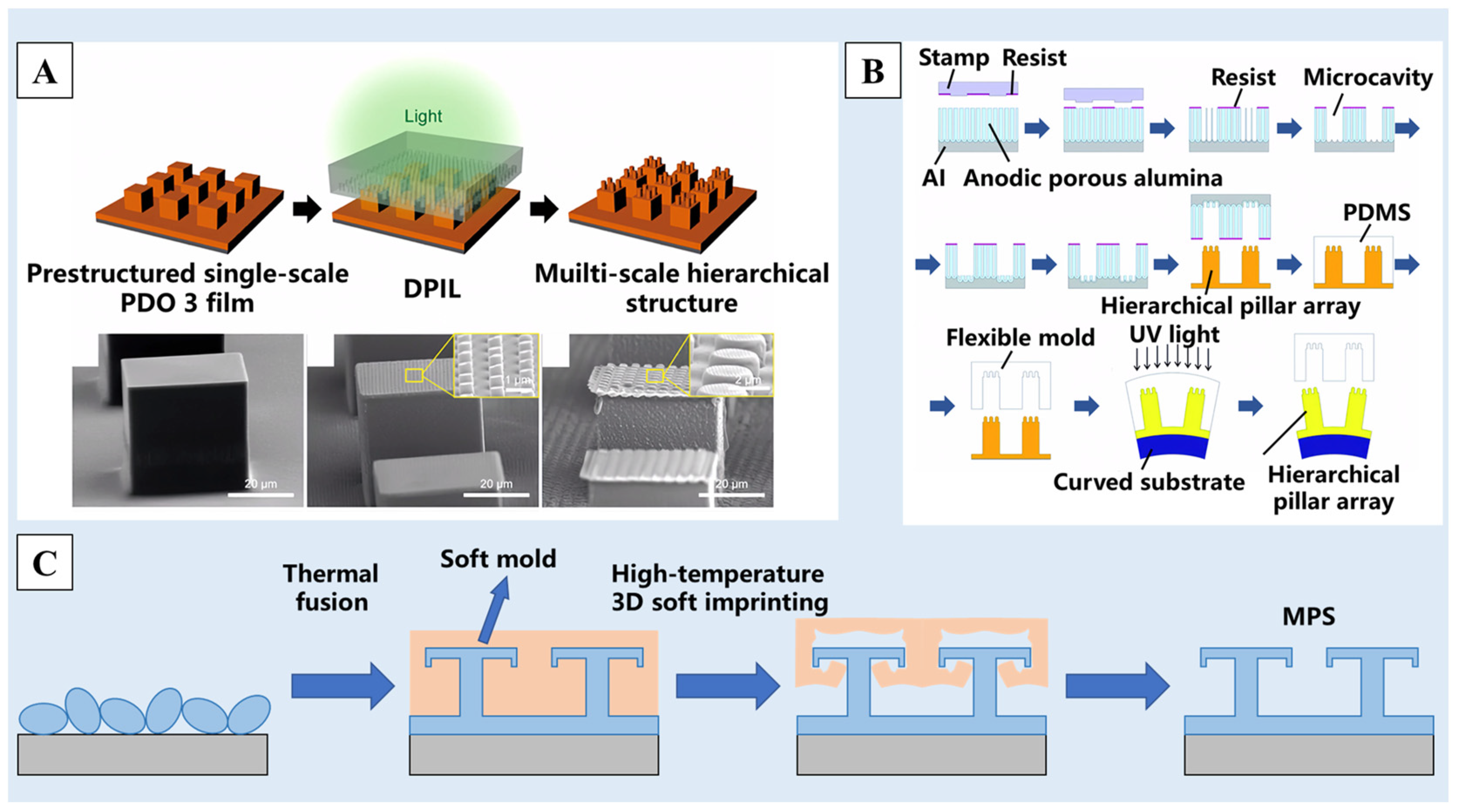 Molecules 29 02098 g006