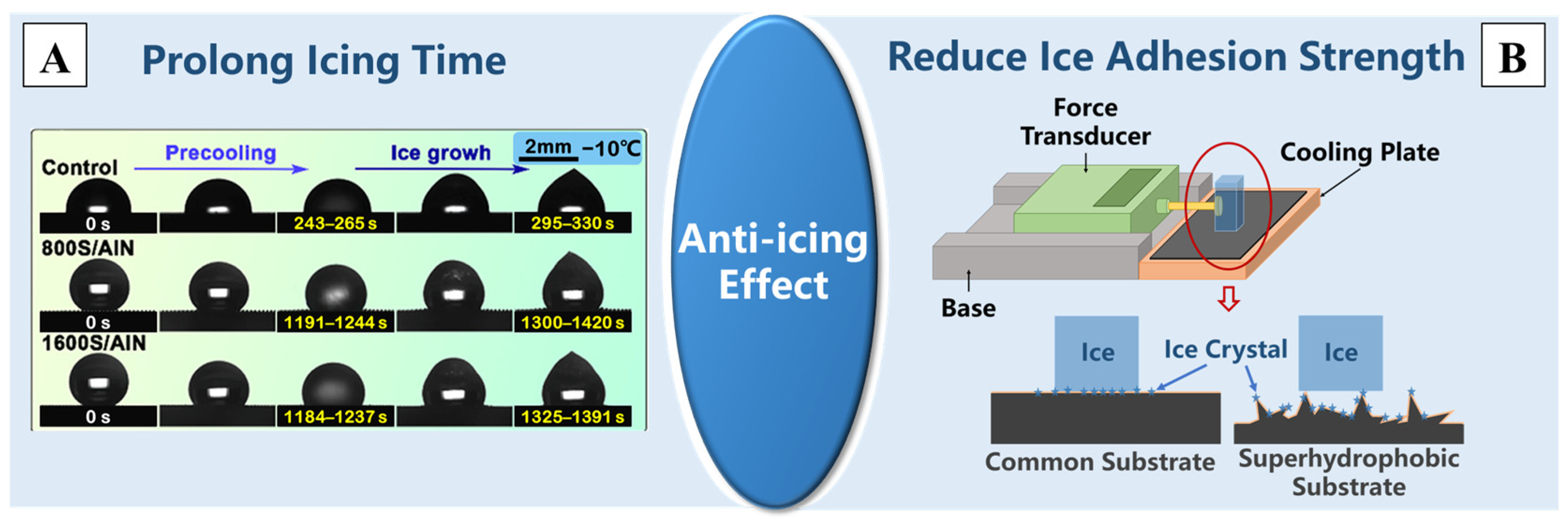 Molecules 29 02098 g010