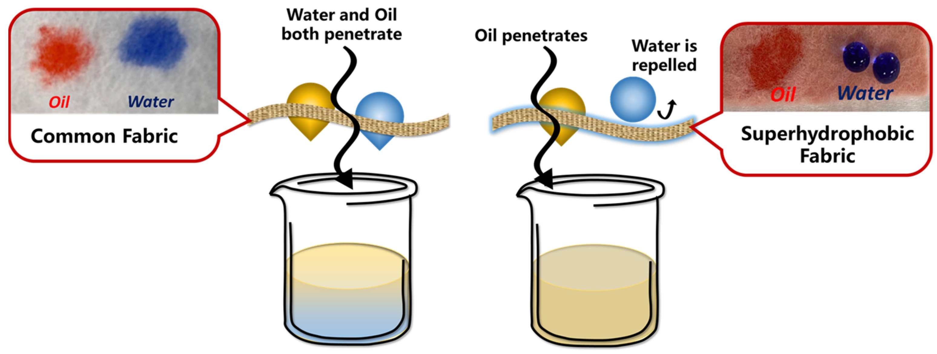 Molecules 29 02098 g011