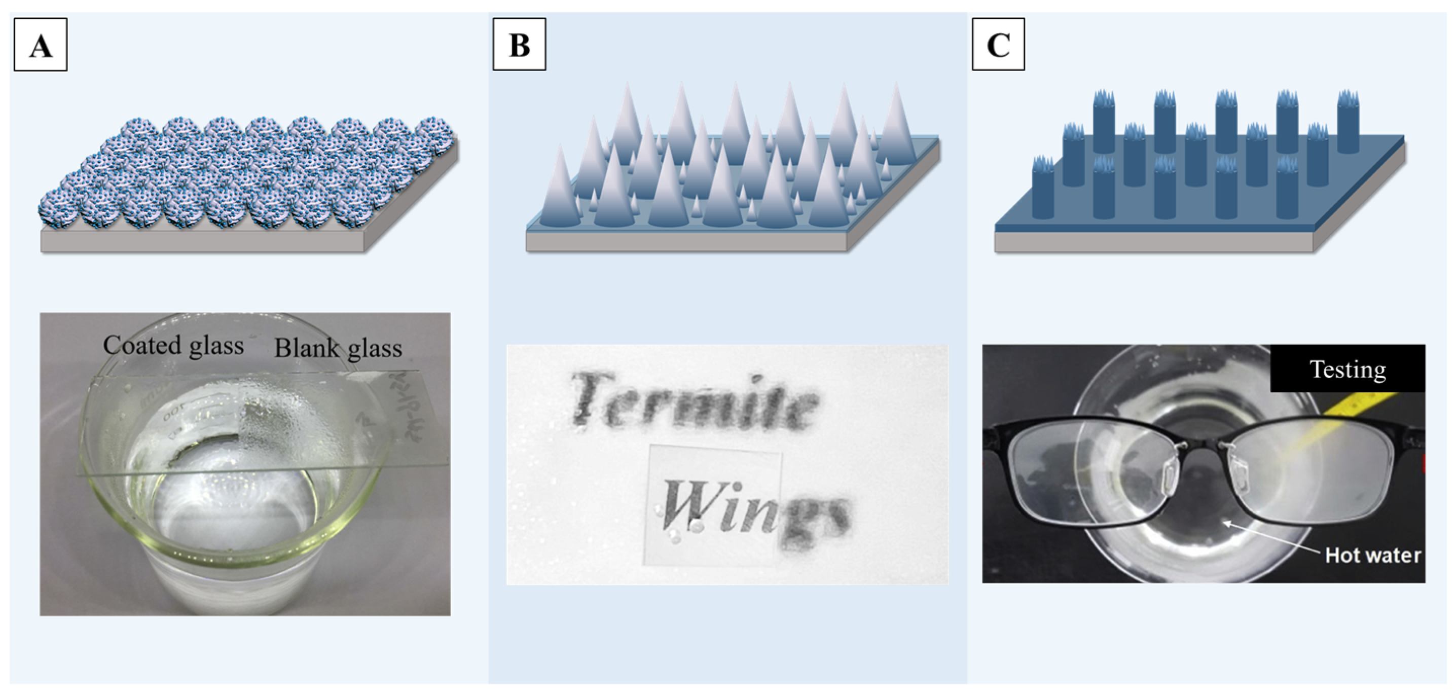 Molecules 29 02098 g012
