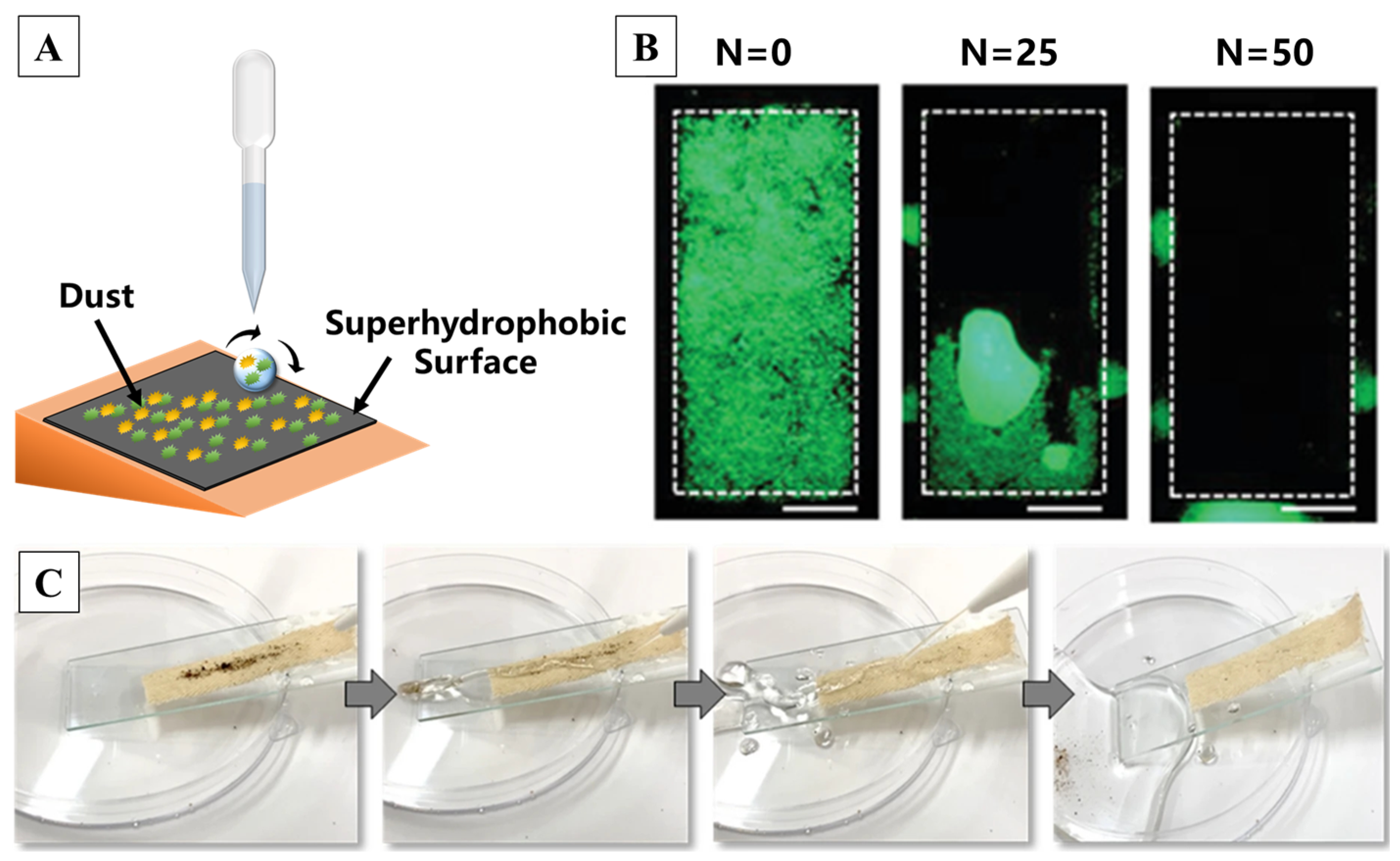 Molecules 29 02098 g013