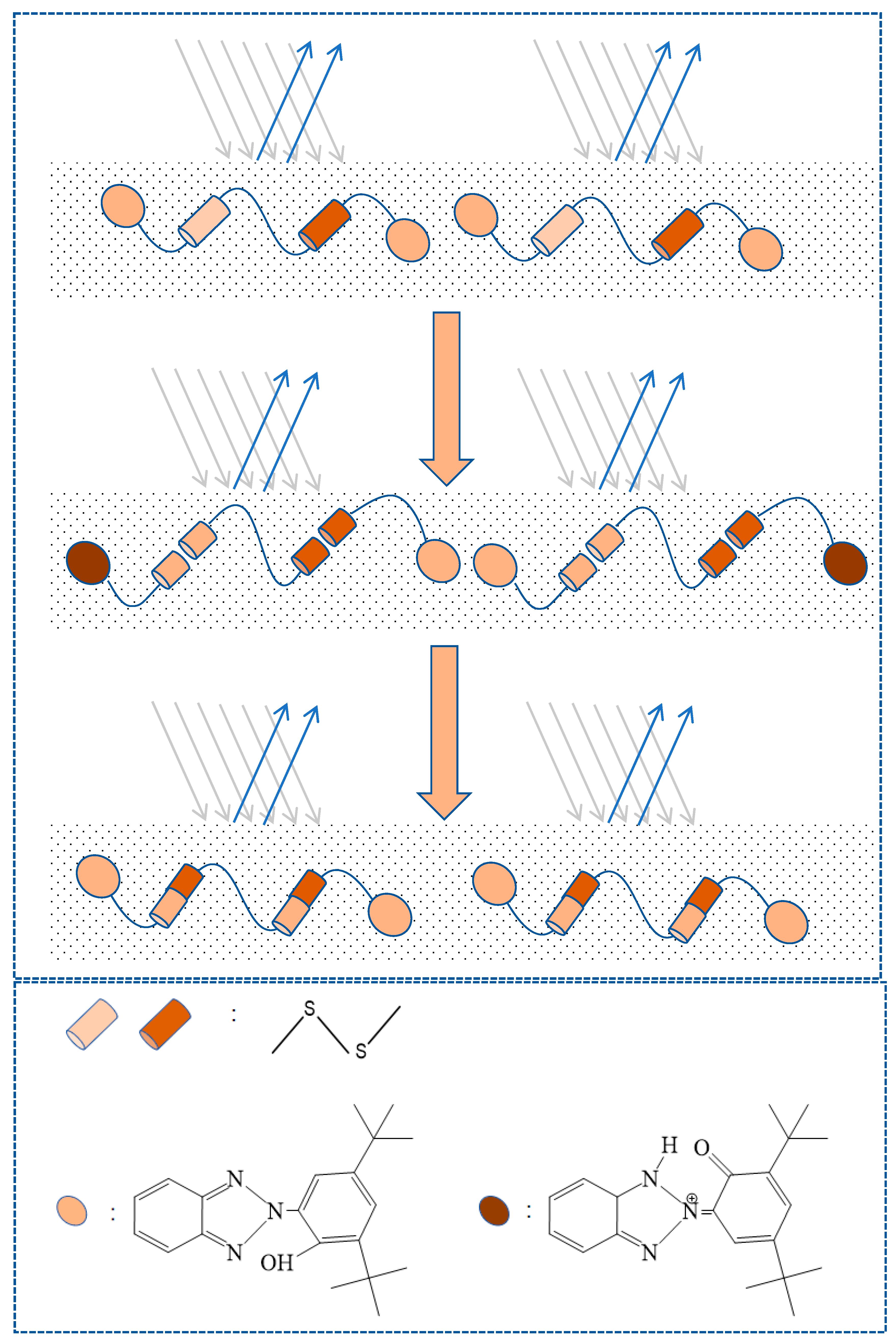 Molecules 29 02099 g015