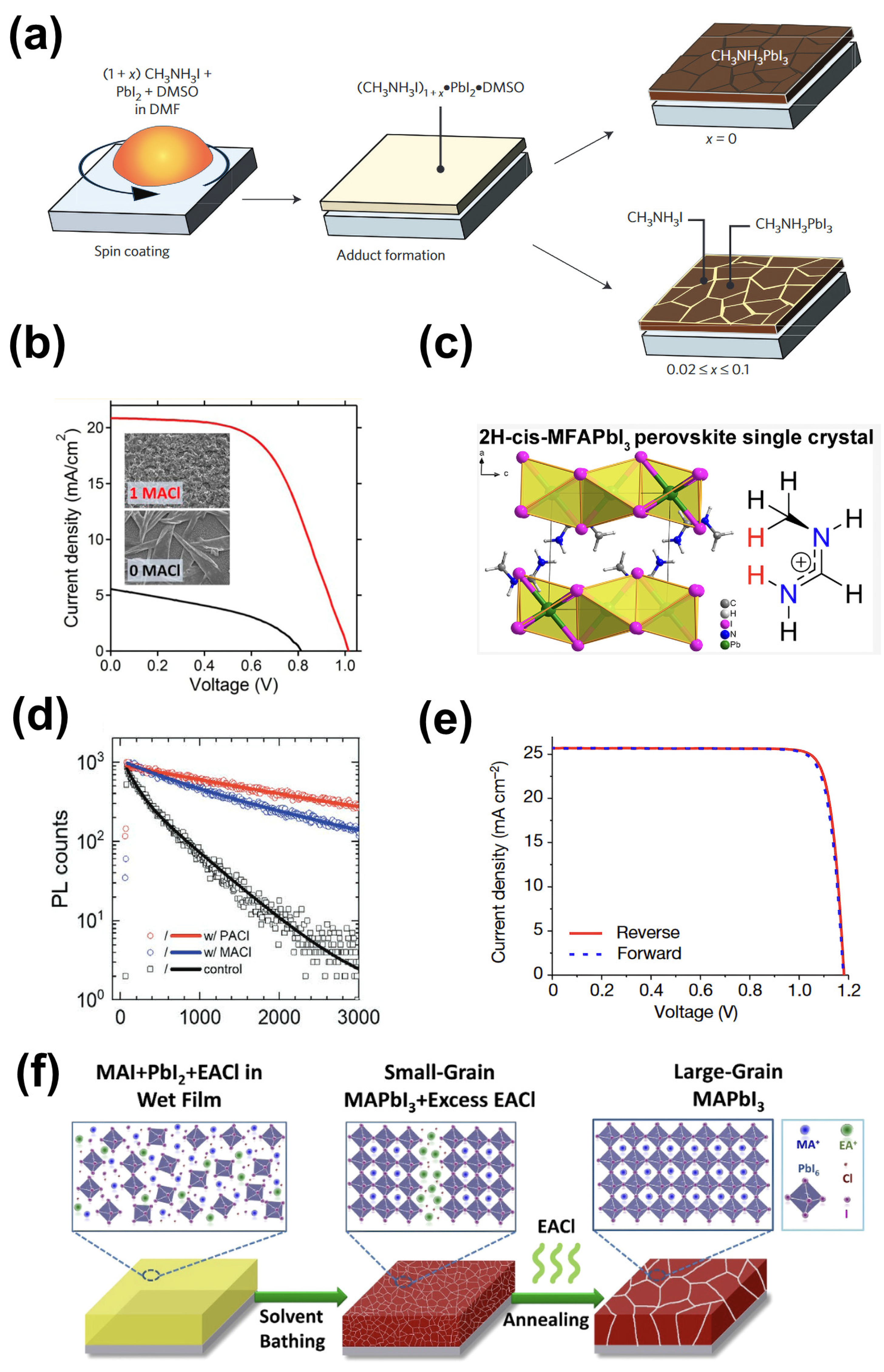 Molecules 29 02104 g004
