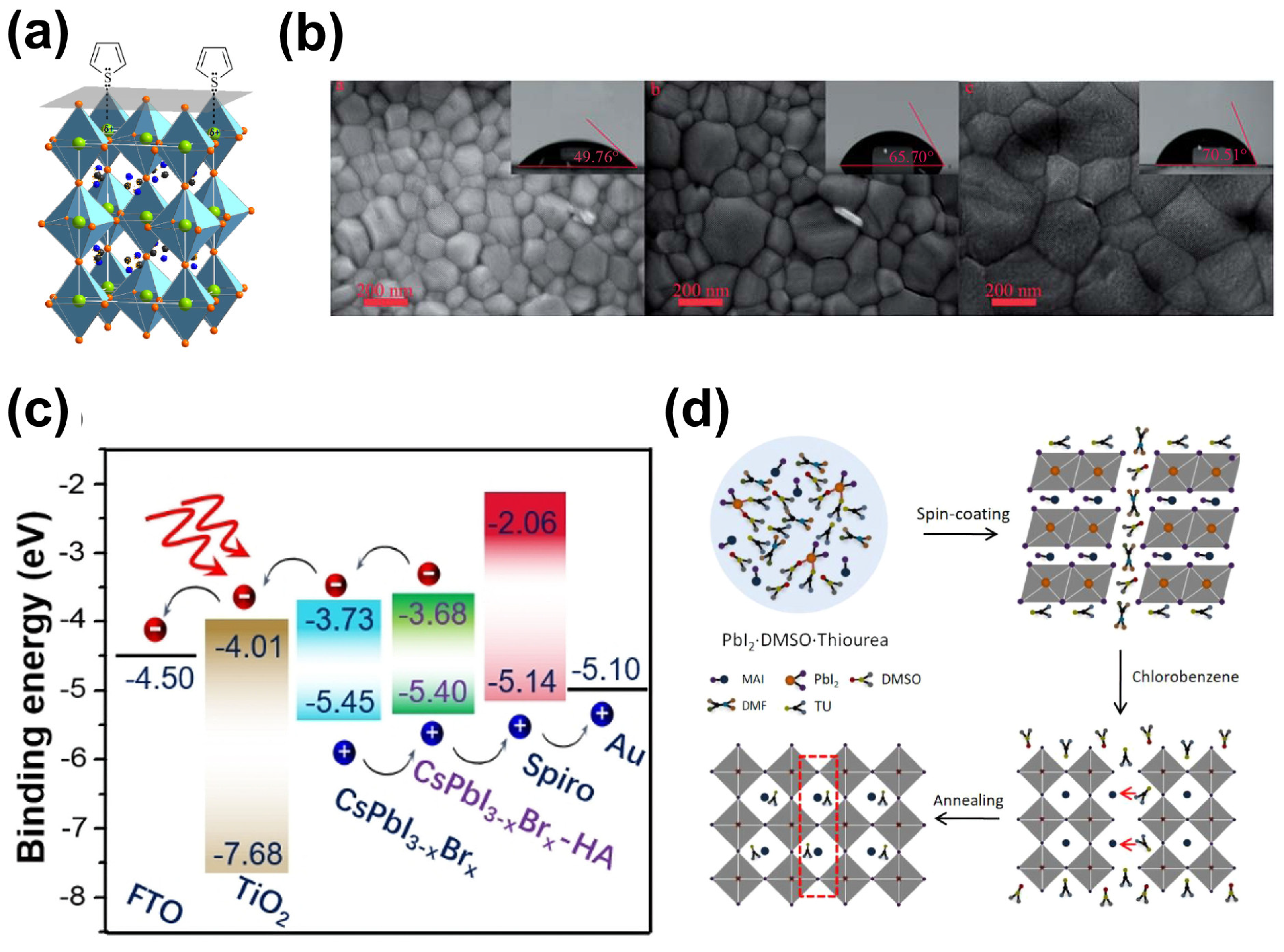 Molecules 29 02104 g007