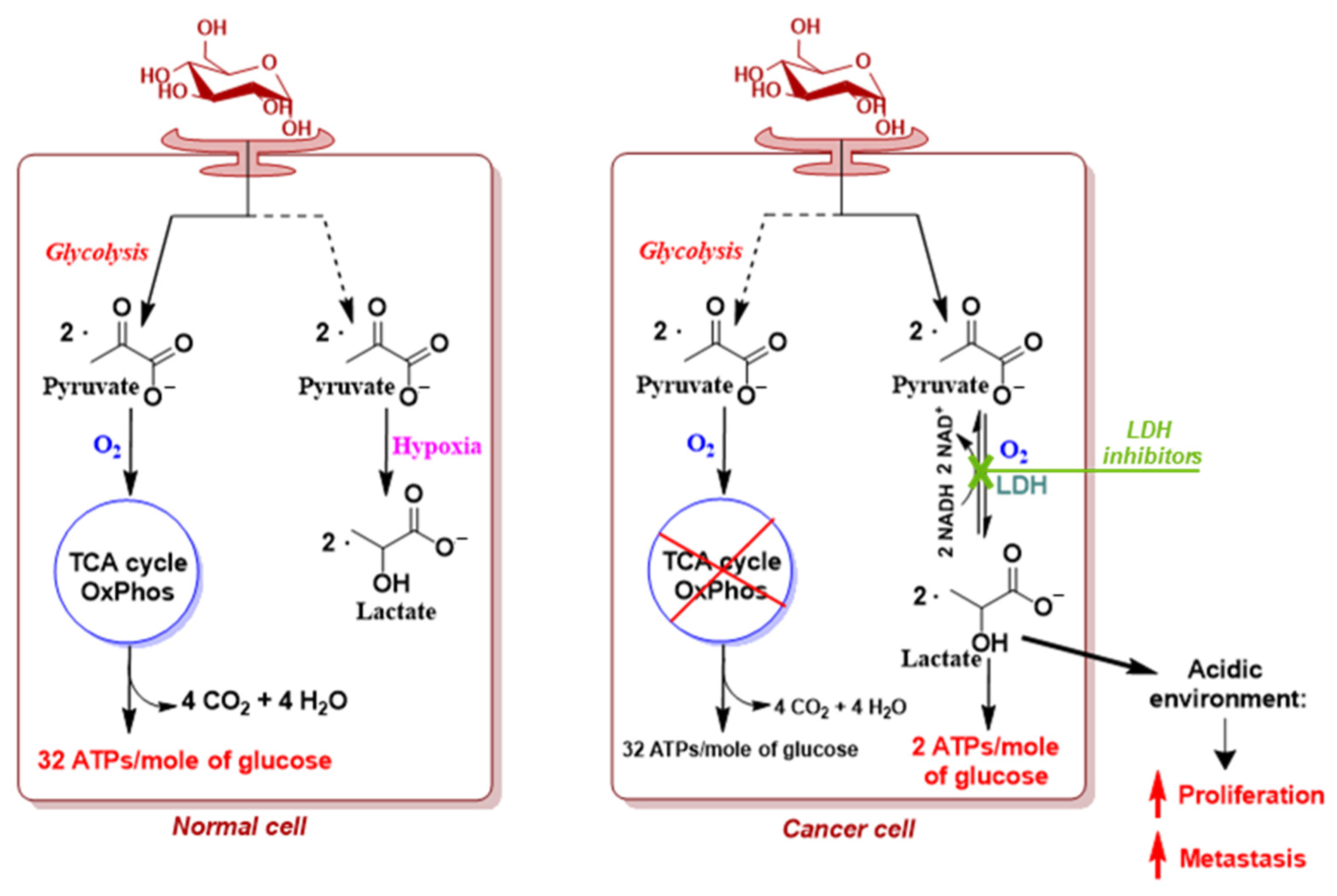 Molecules 29 02110 g001