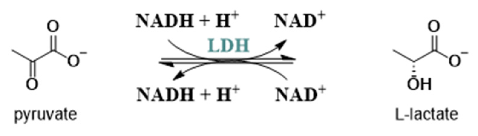 Molecules 29 02110 g002