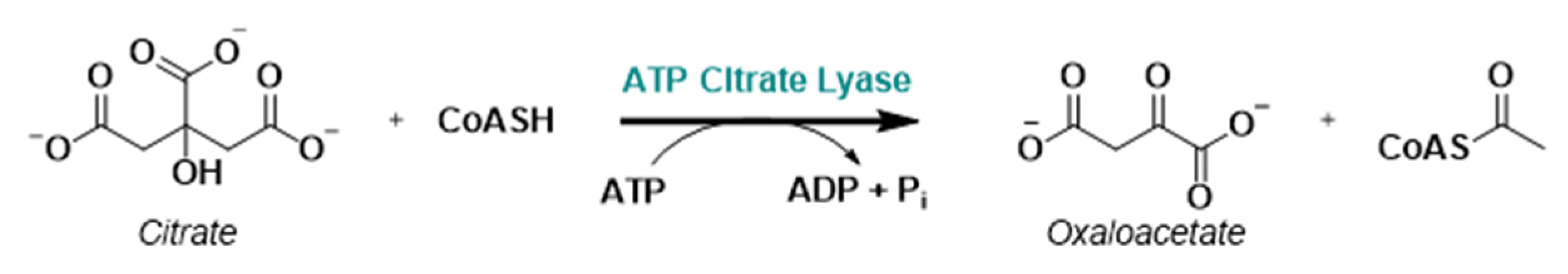 Molecules 29 02110 g007