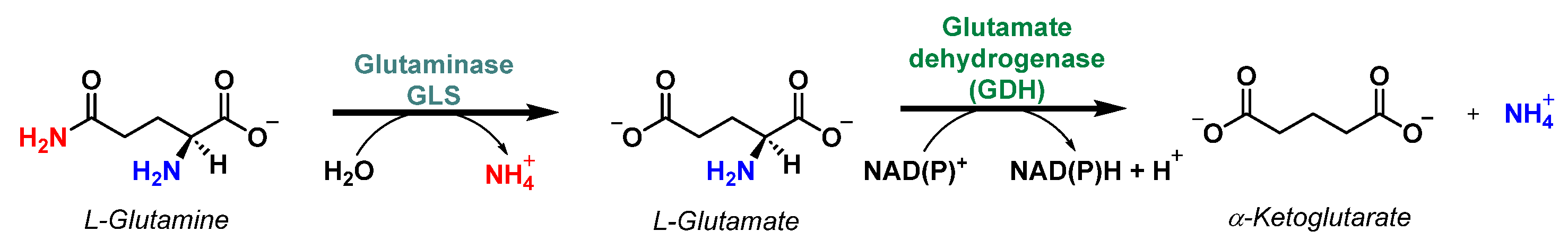 Molecules 29 02110 g011