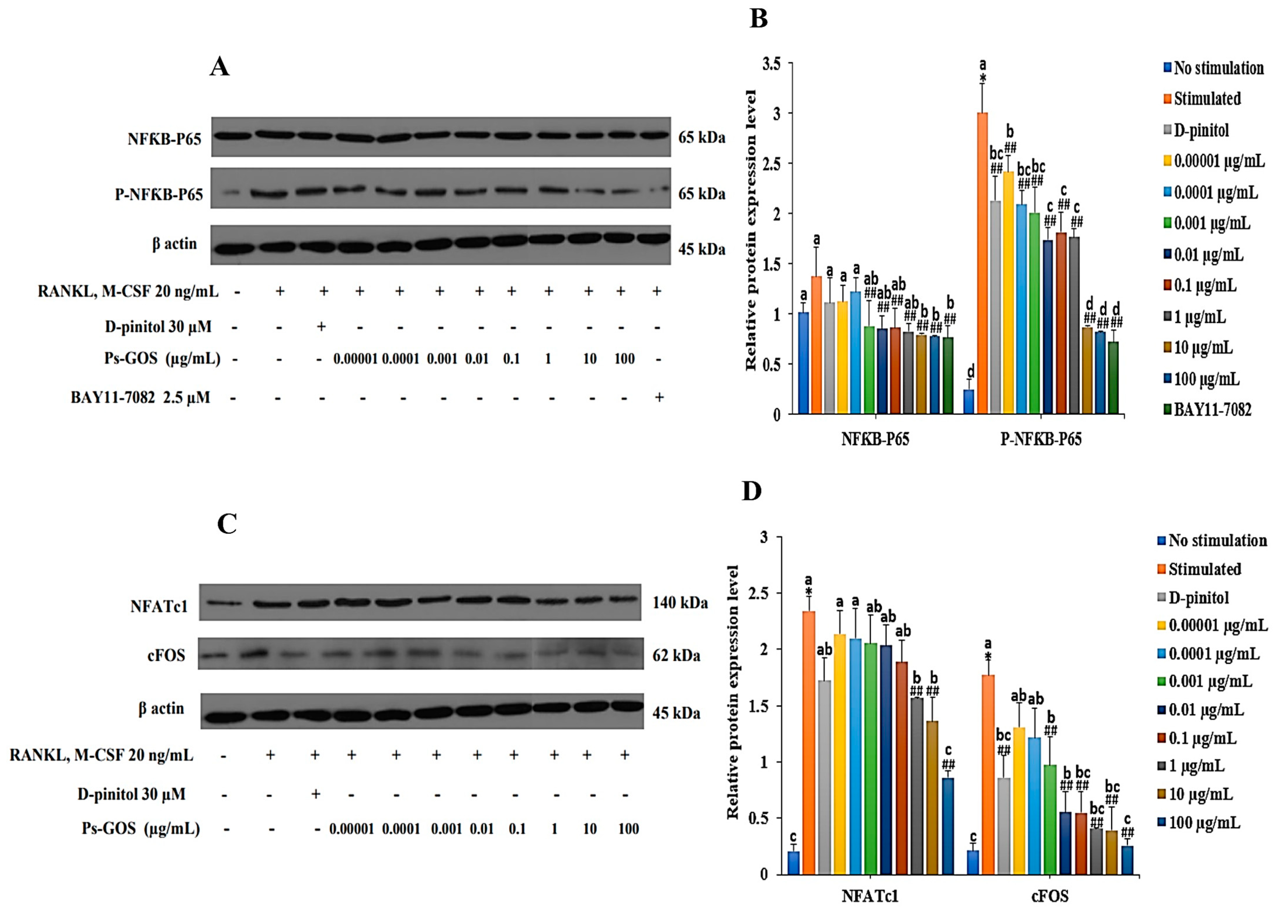 Molecules 29 02113 g005
