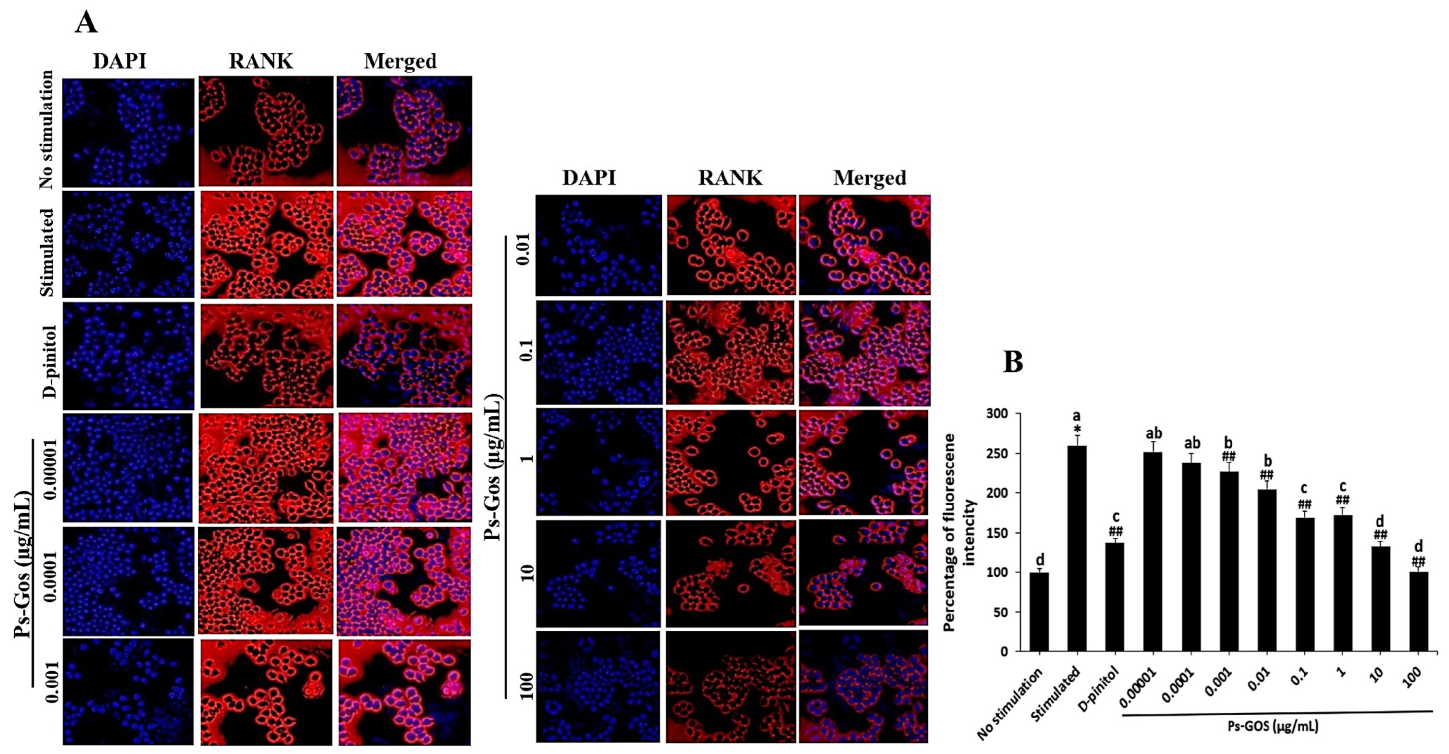 Molecules 29 02113 g006