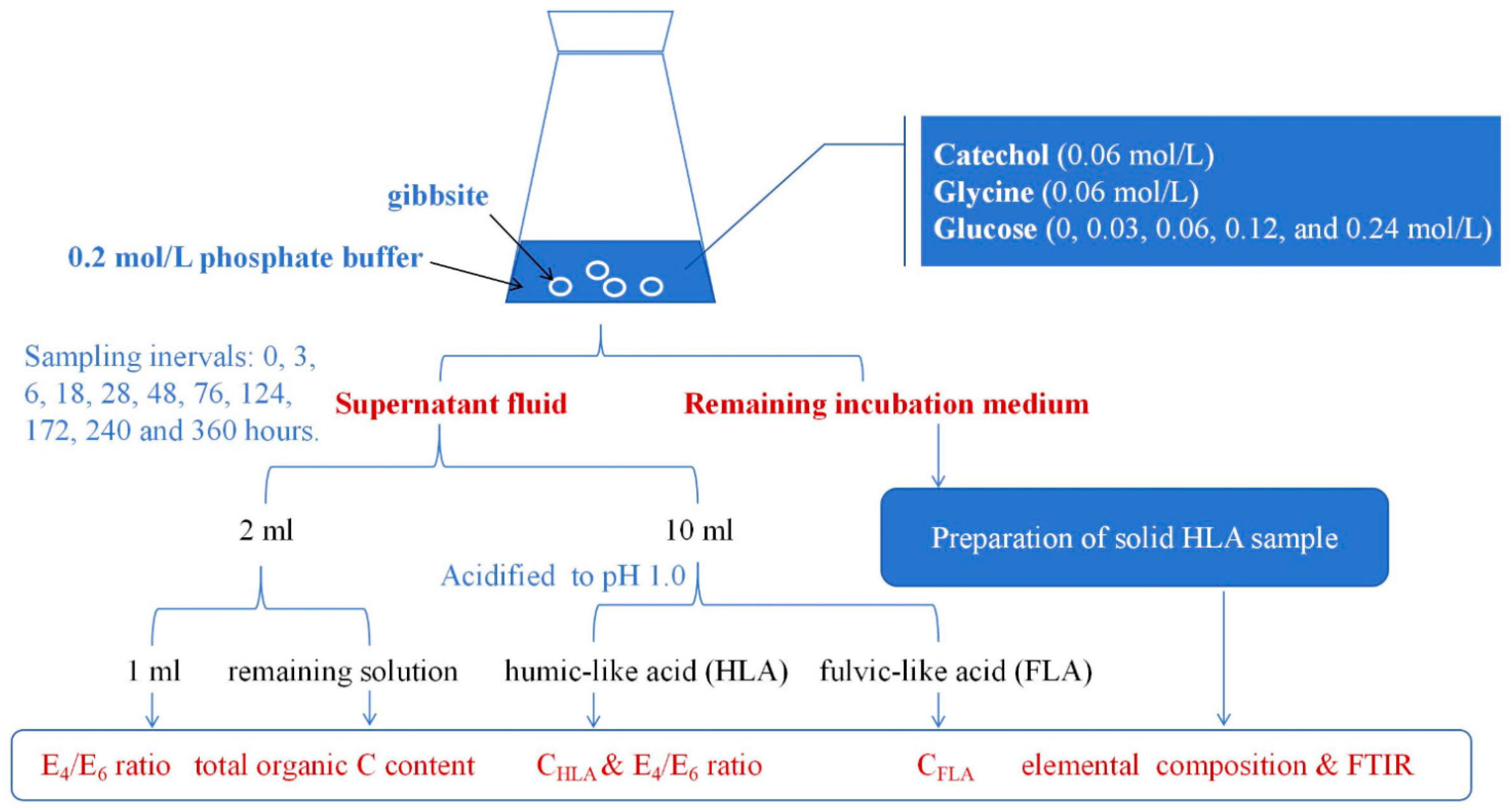 Changes in the Glucose Concentration Affect the Formation of
