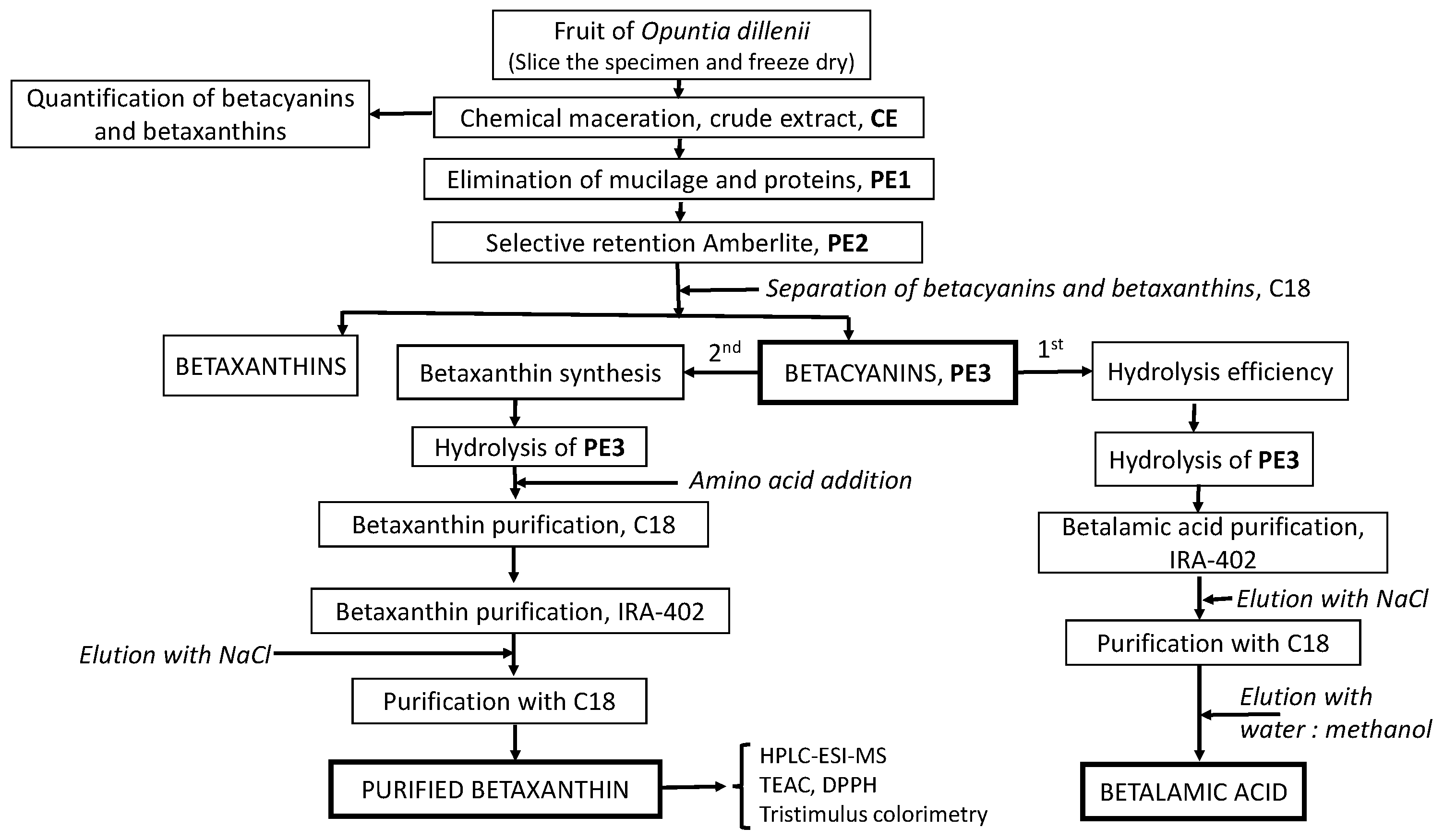 Molecules 29 02116 g007