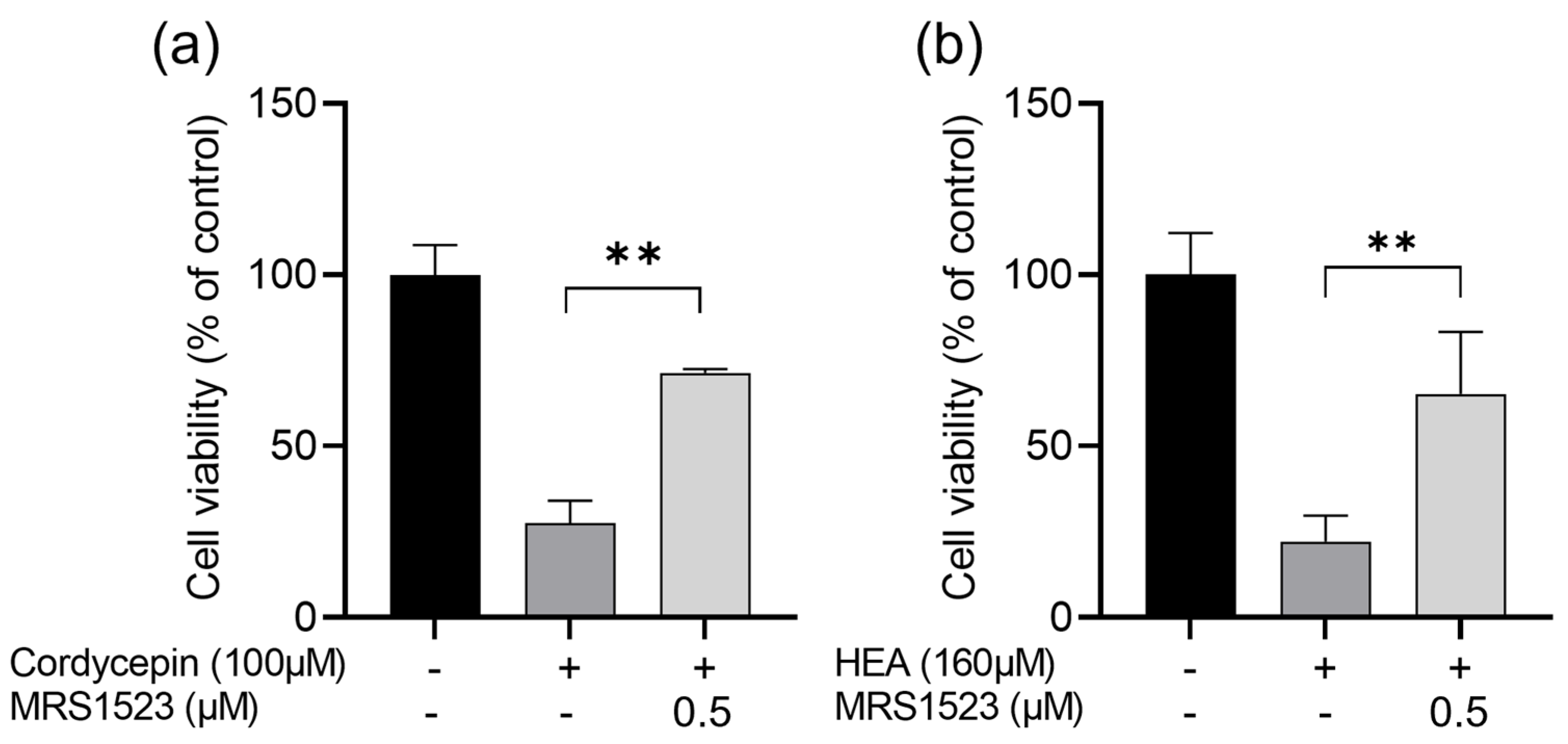 Molecules 29 02119 g006