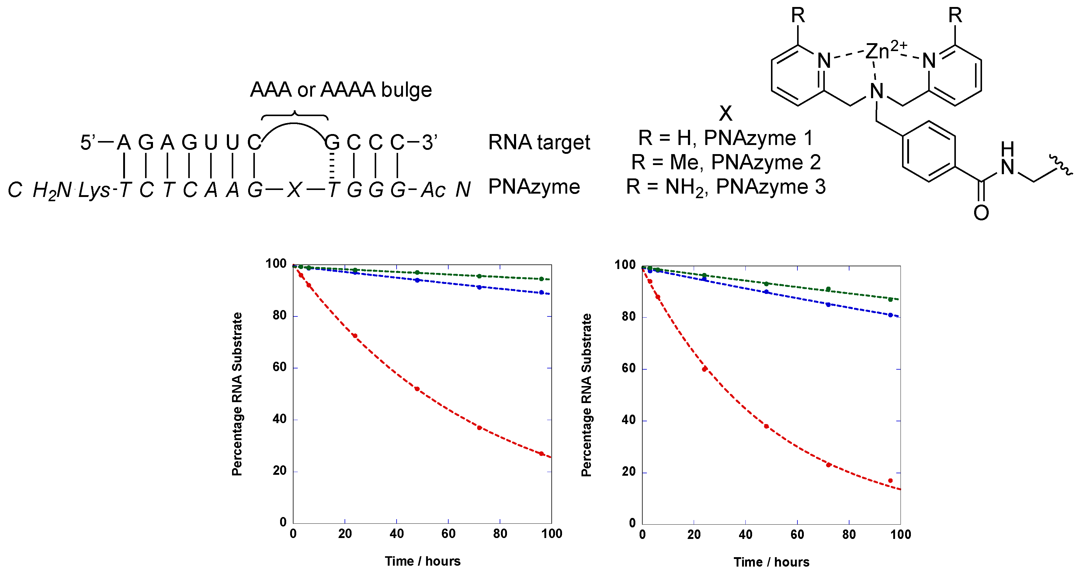 Molecules 29 02123 g004