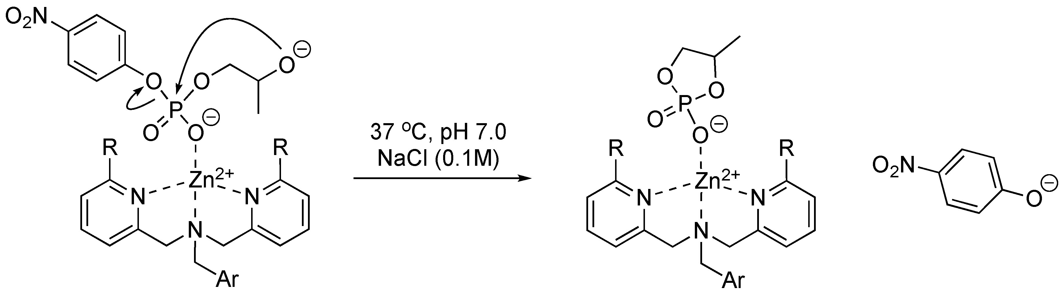 Molecules 29 02123 sch005