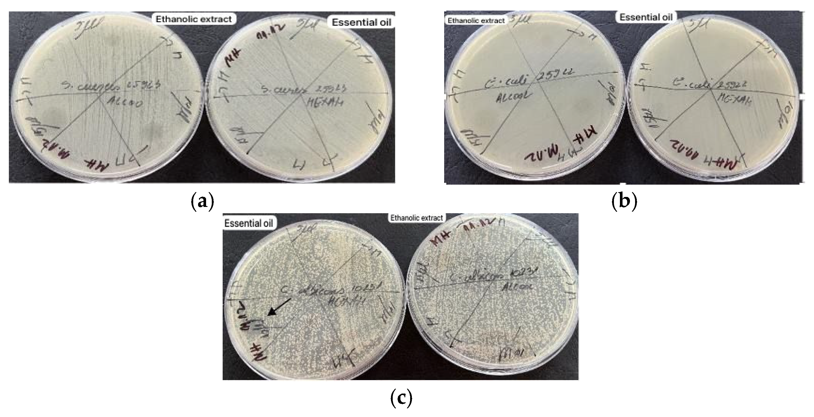 Molecules 29 02128 g003