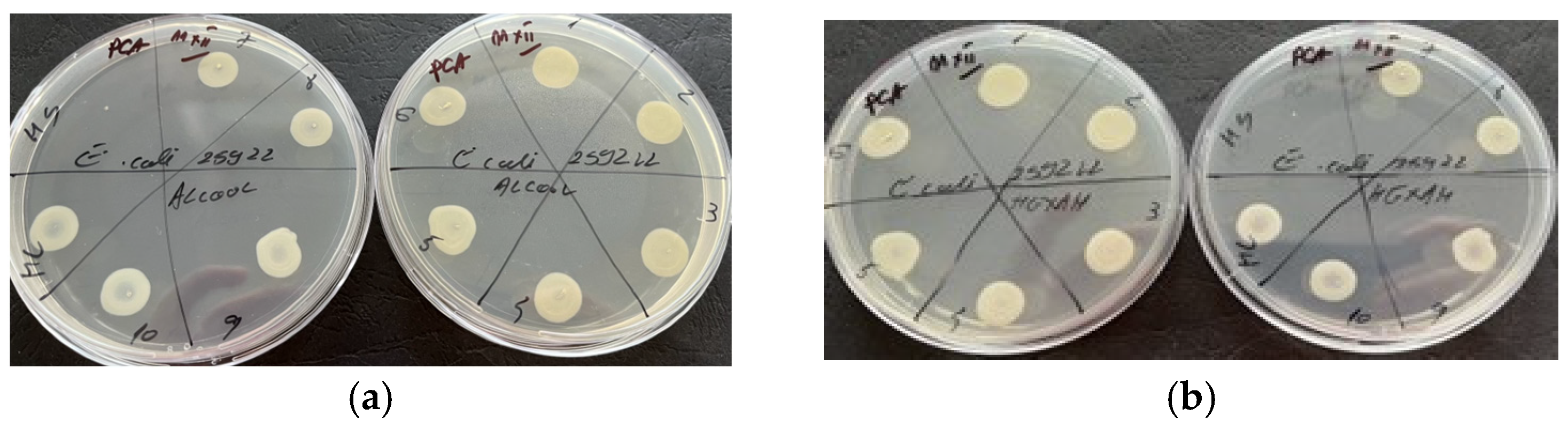Molecules 29 02128 g006
