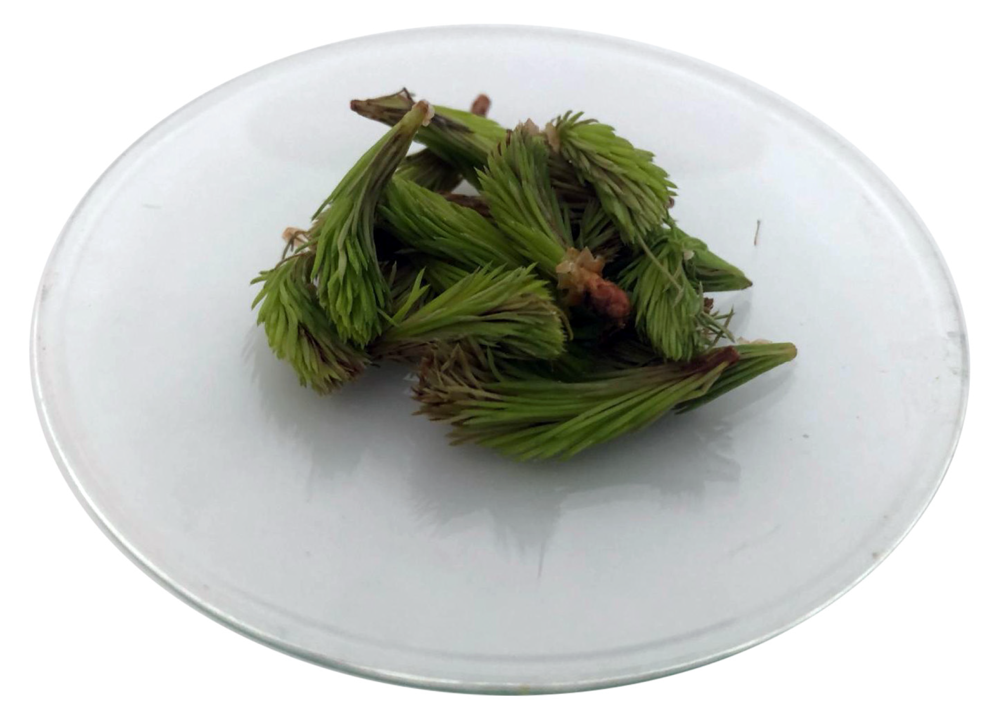 Molecules 29 02128 g008